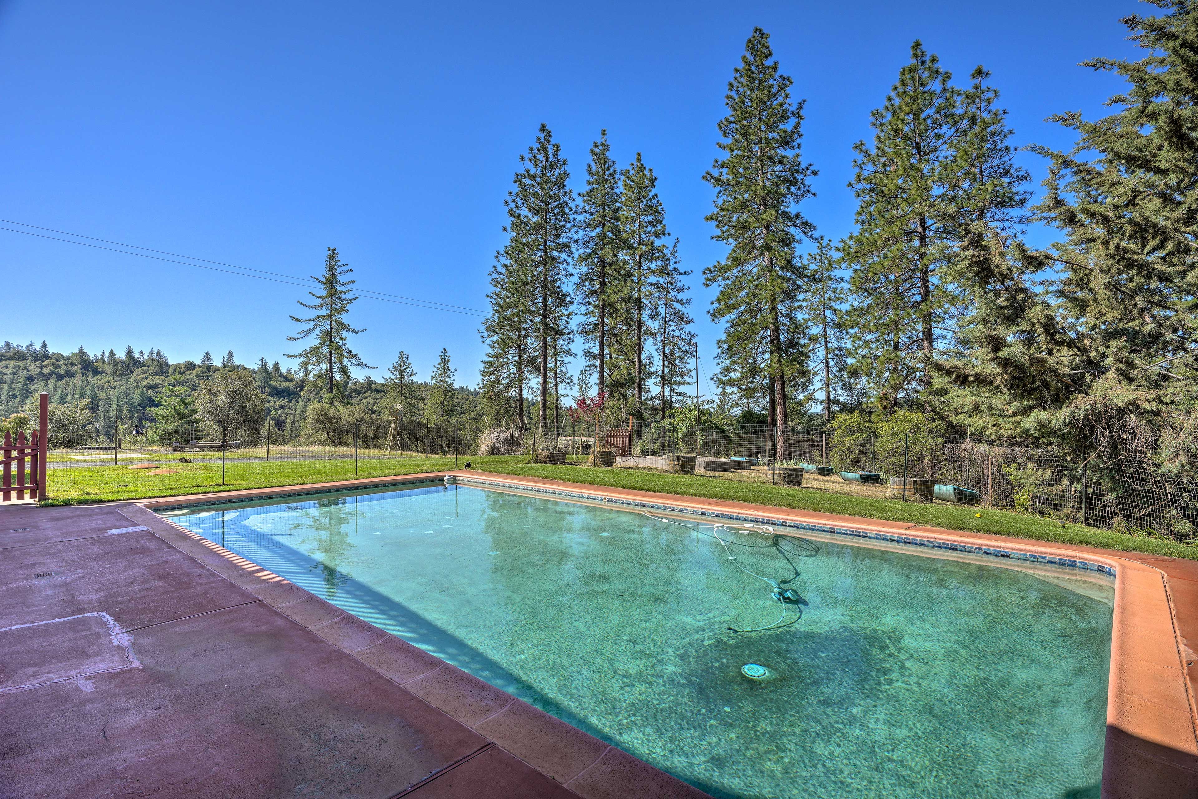 Backyard | Pool