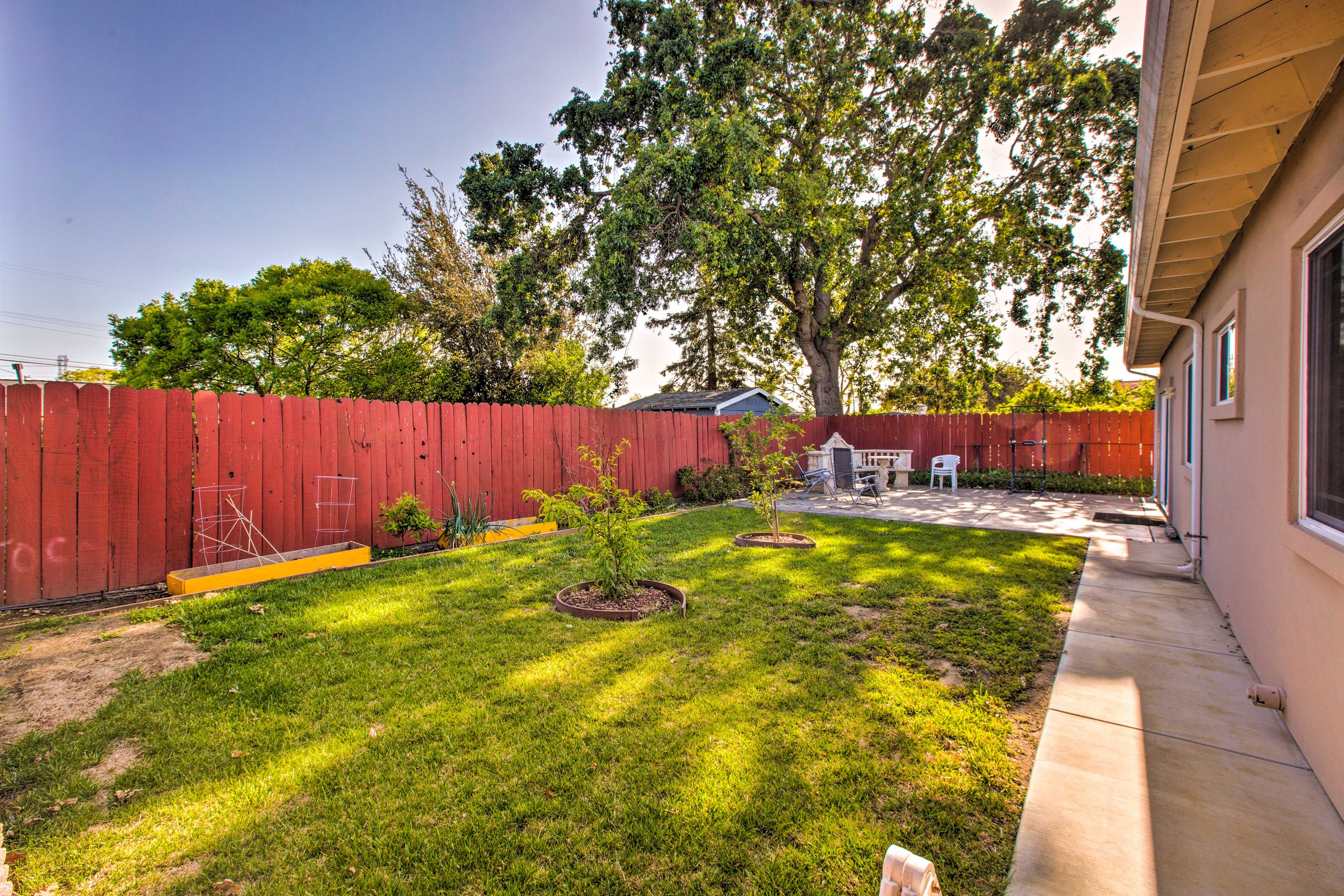 Property Exterior | Backyard