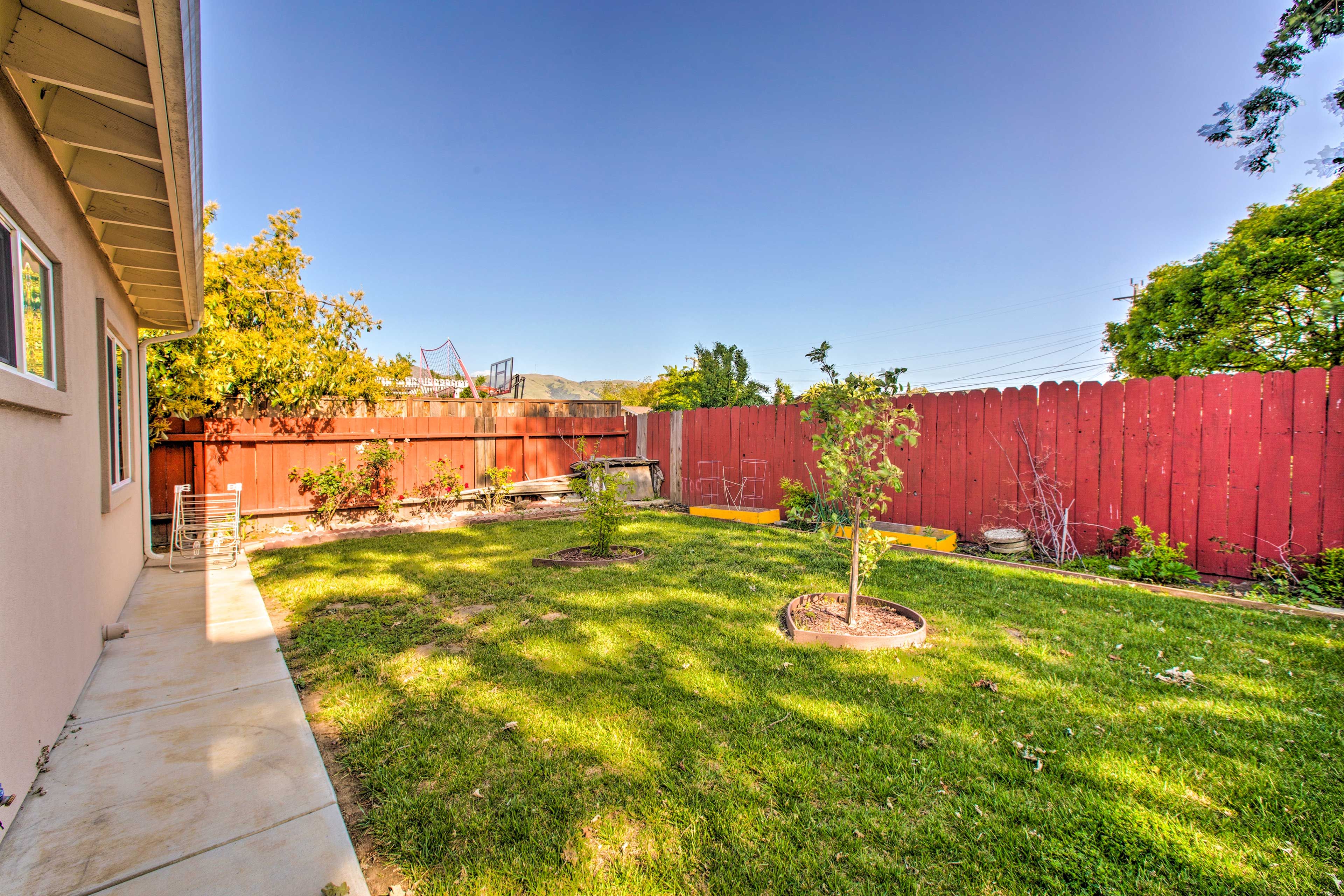 Property Exterior | Backyard