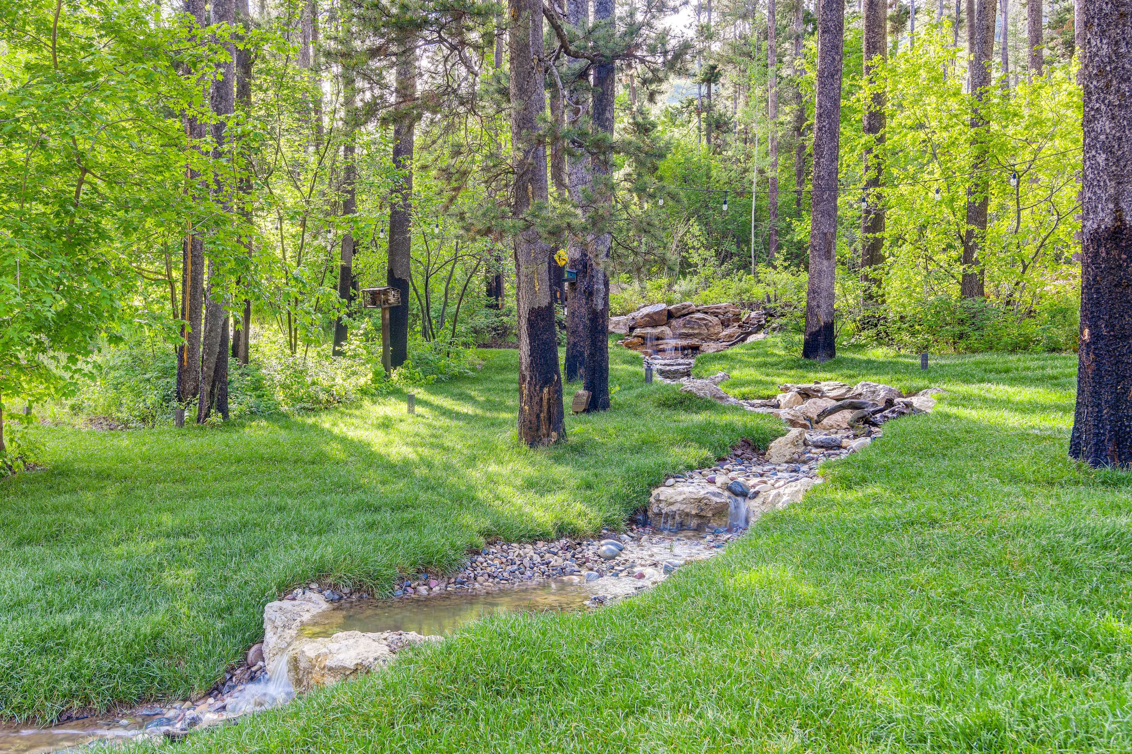 Water Feature