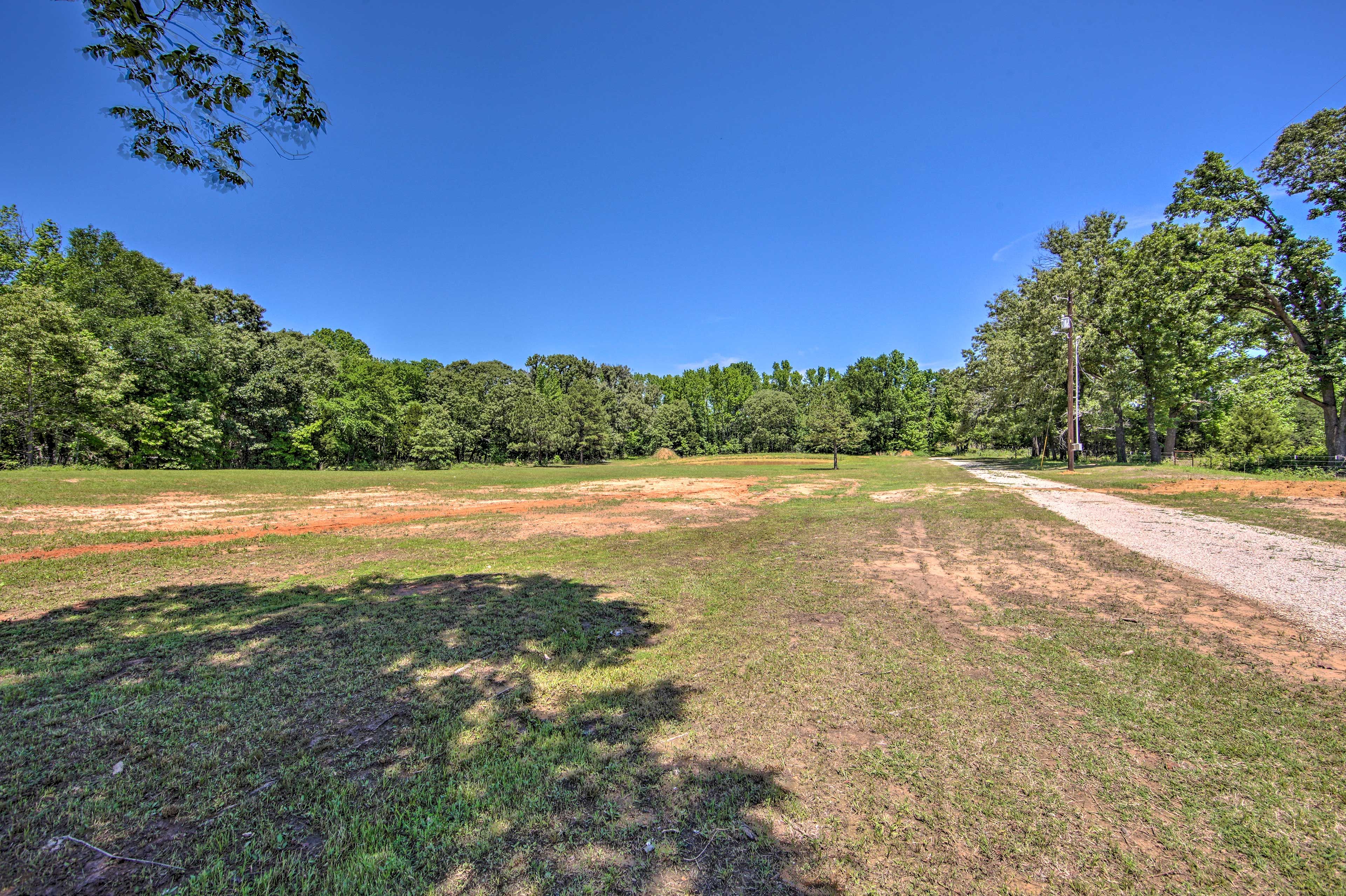 Surrounding Area
