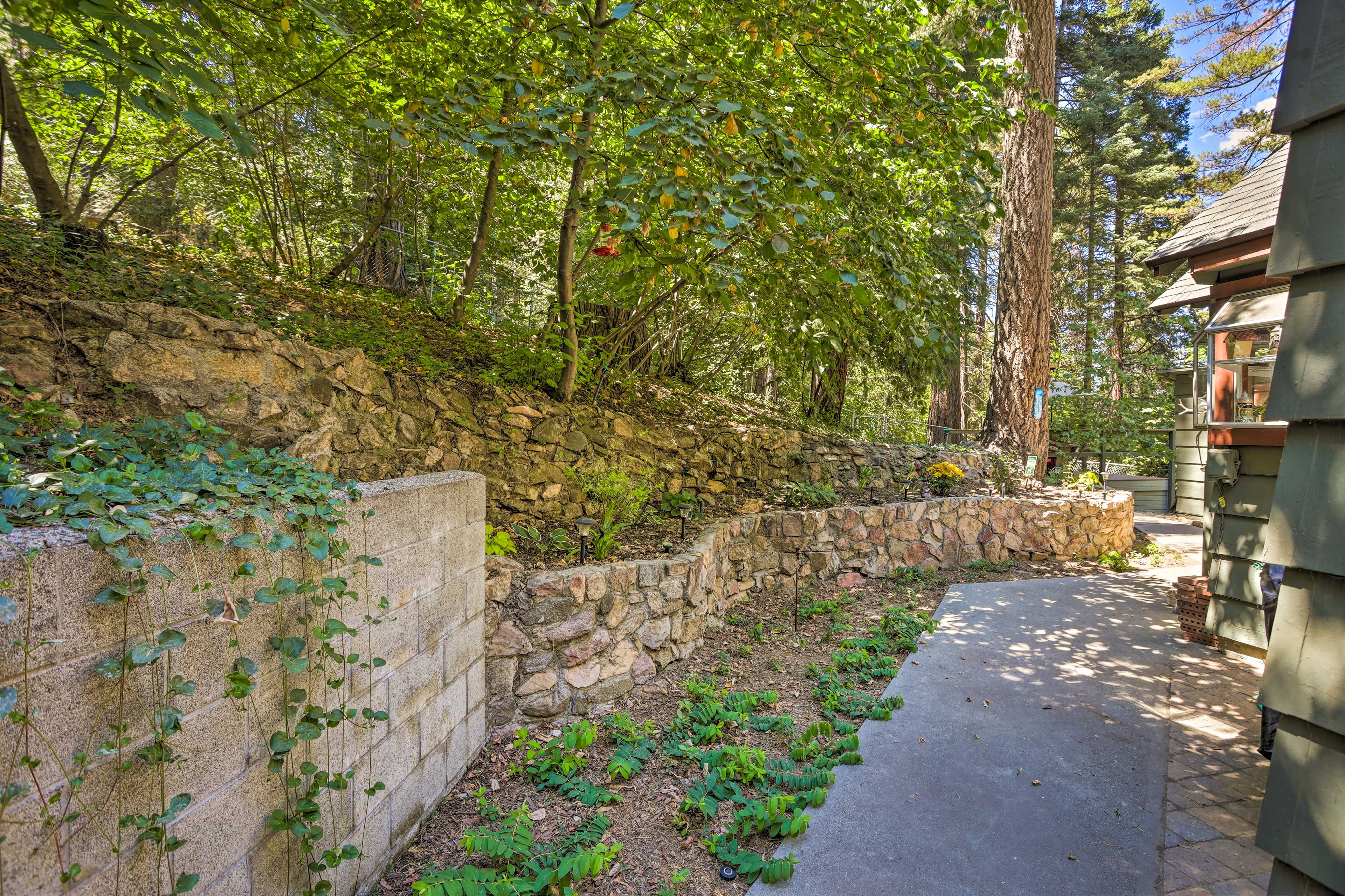 Fenced Backyard