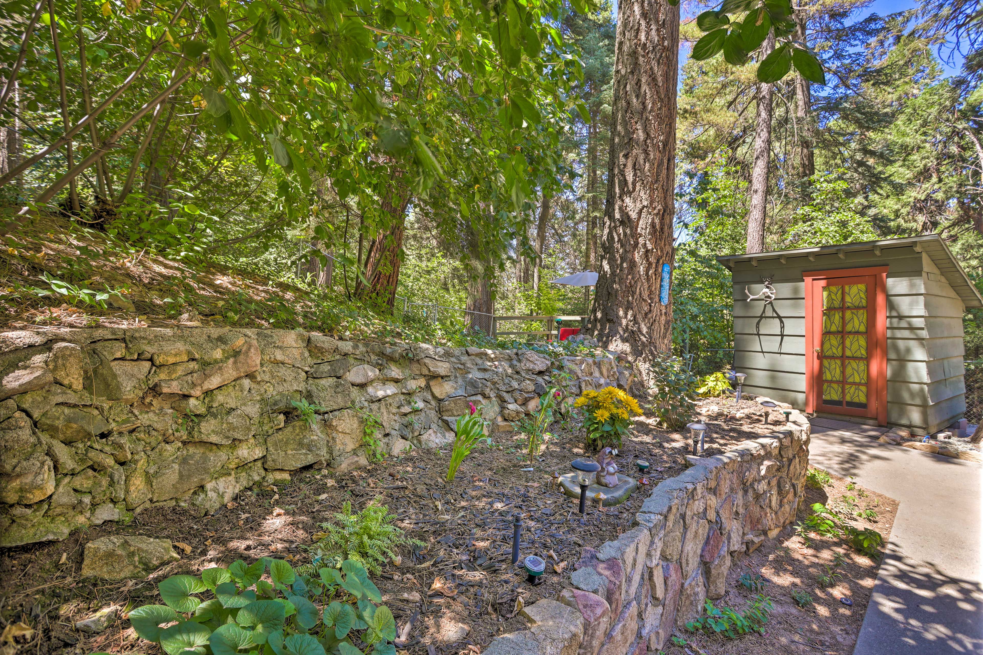 Fenced Backyard