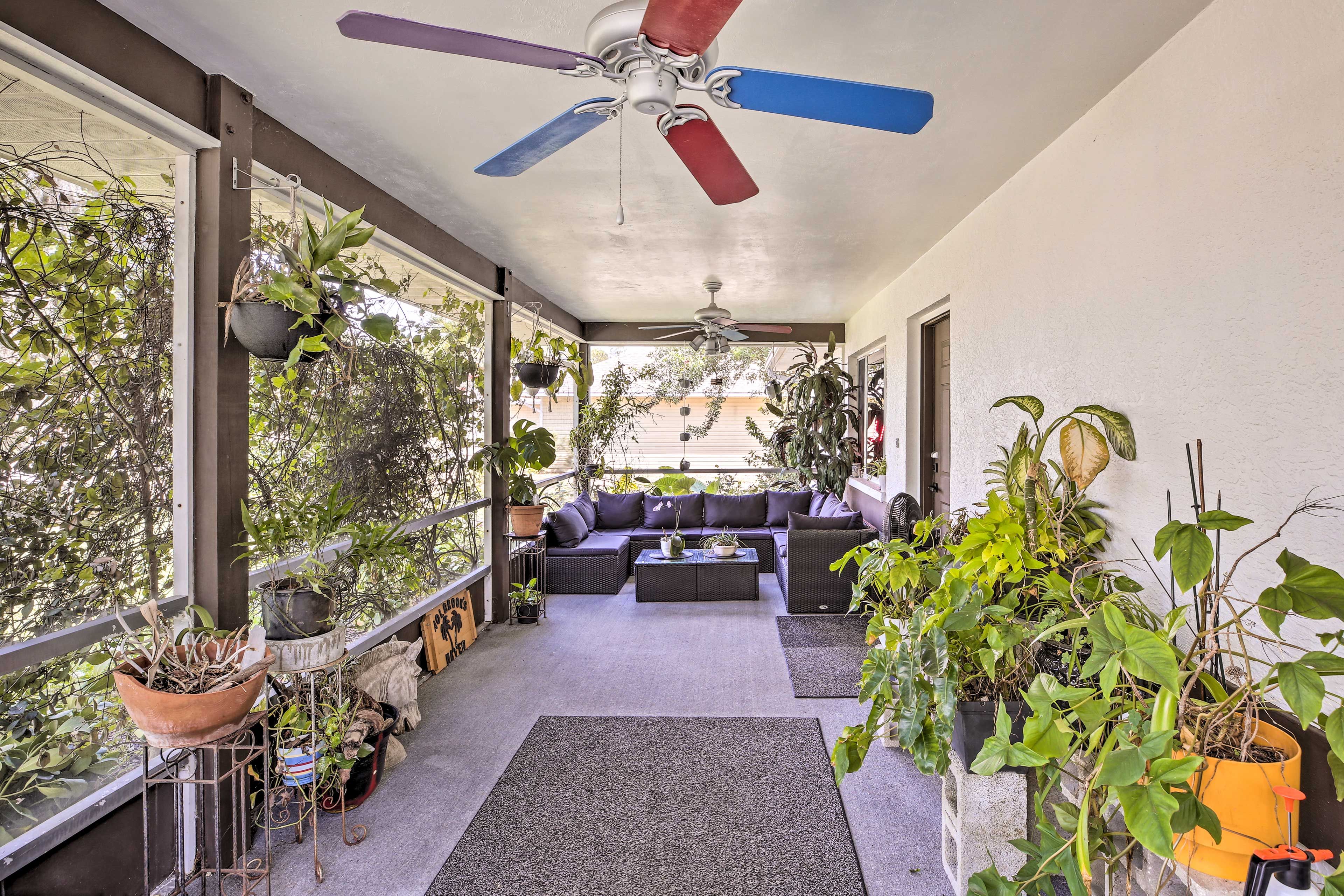 Screened Lanai | Gas Grill