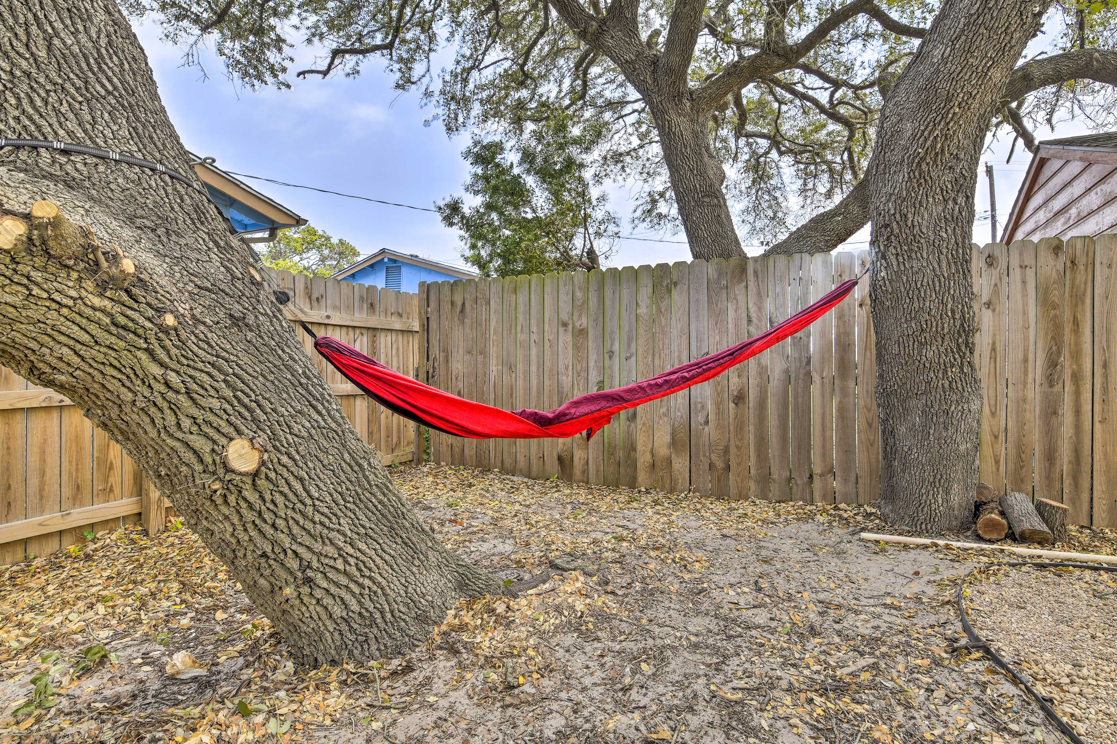 Backyard | Hammock