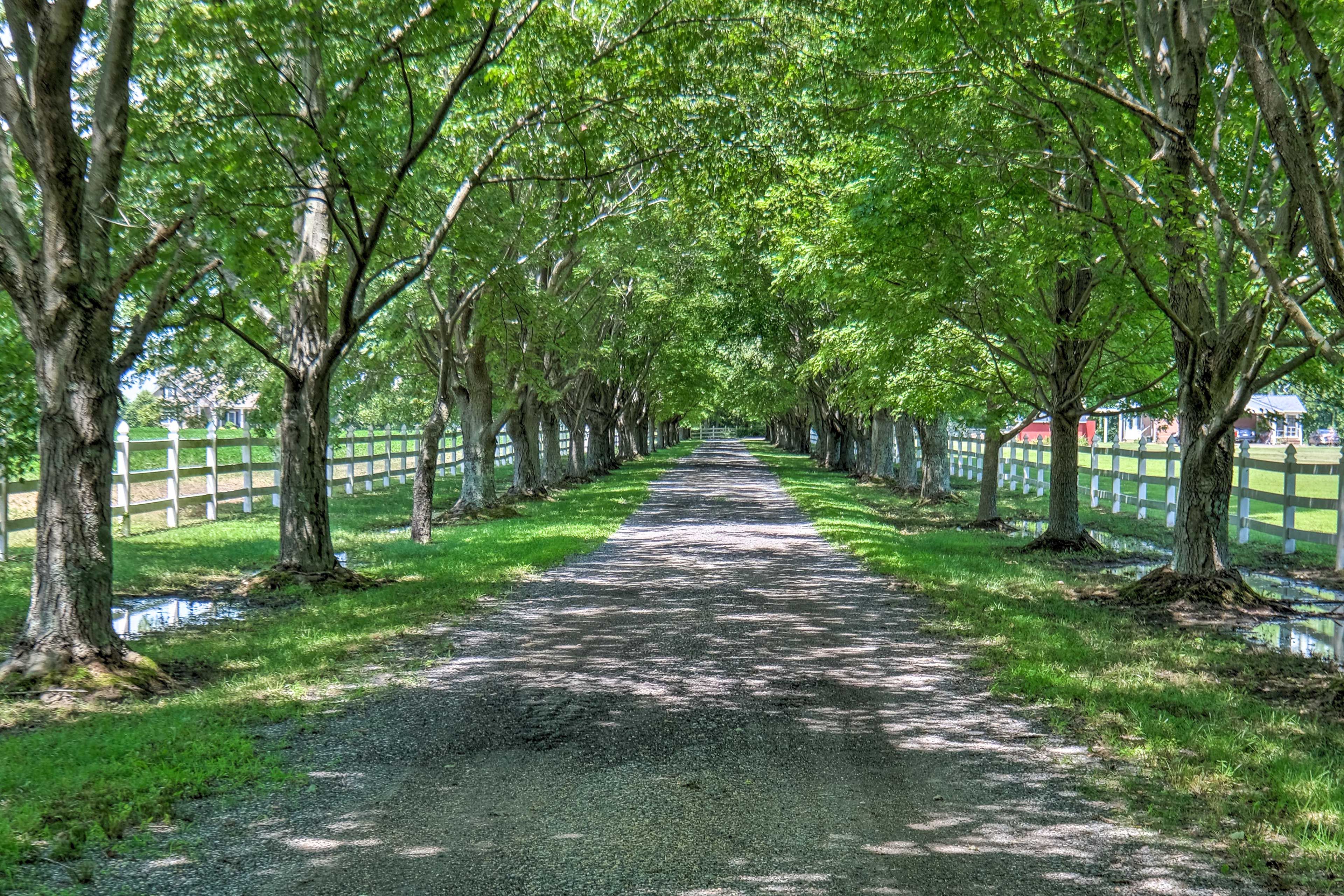 Driveway