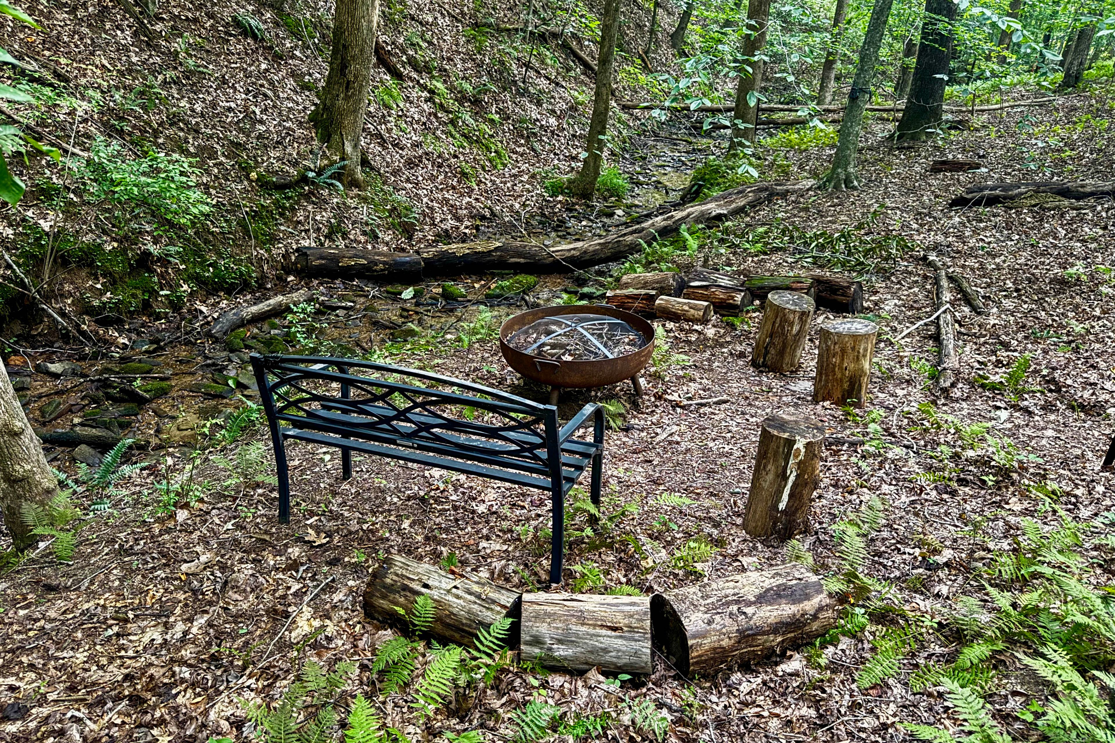 Exterior | Creekside Fire Pit