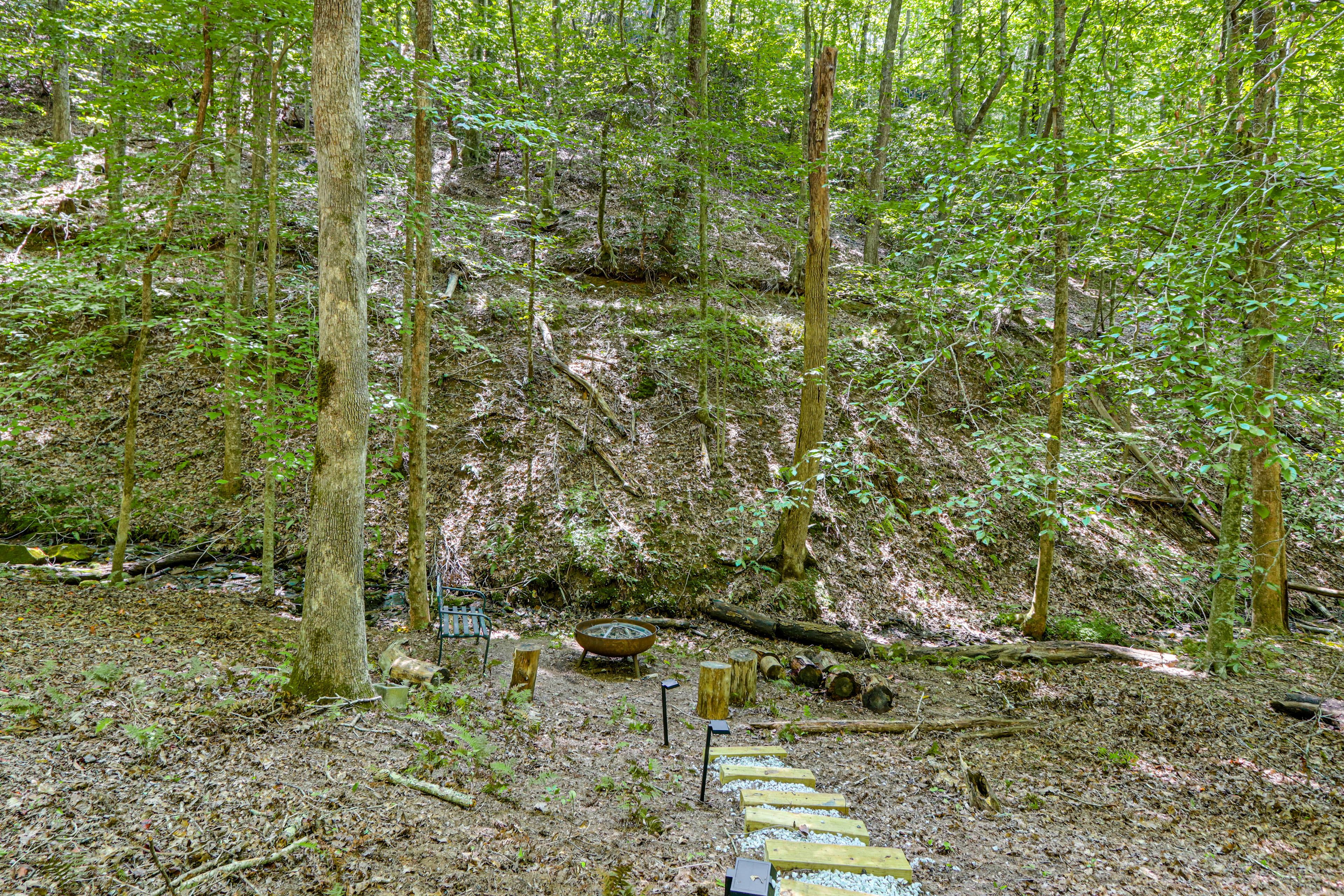 Image 36