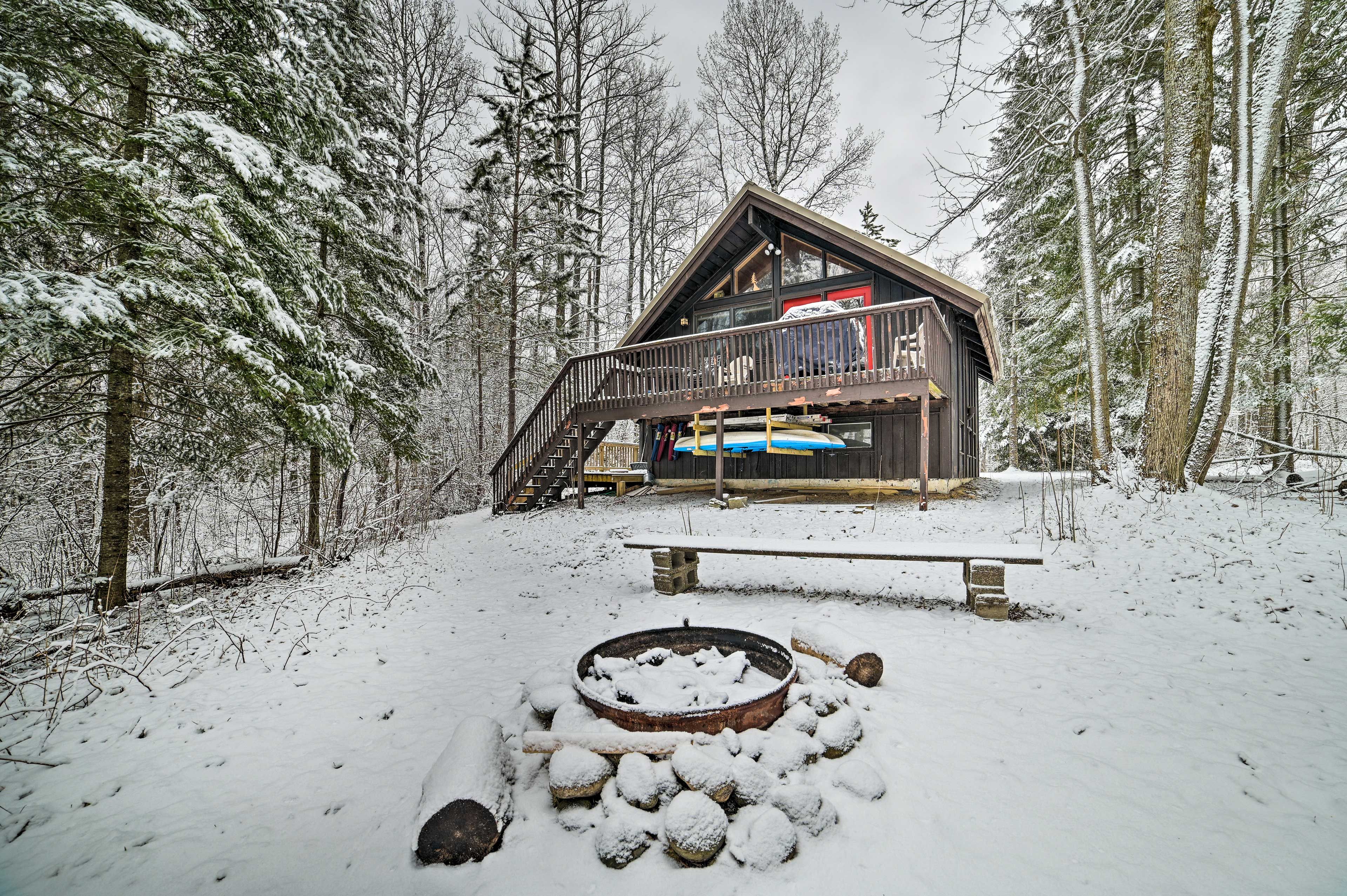 Yard in Winter