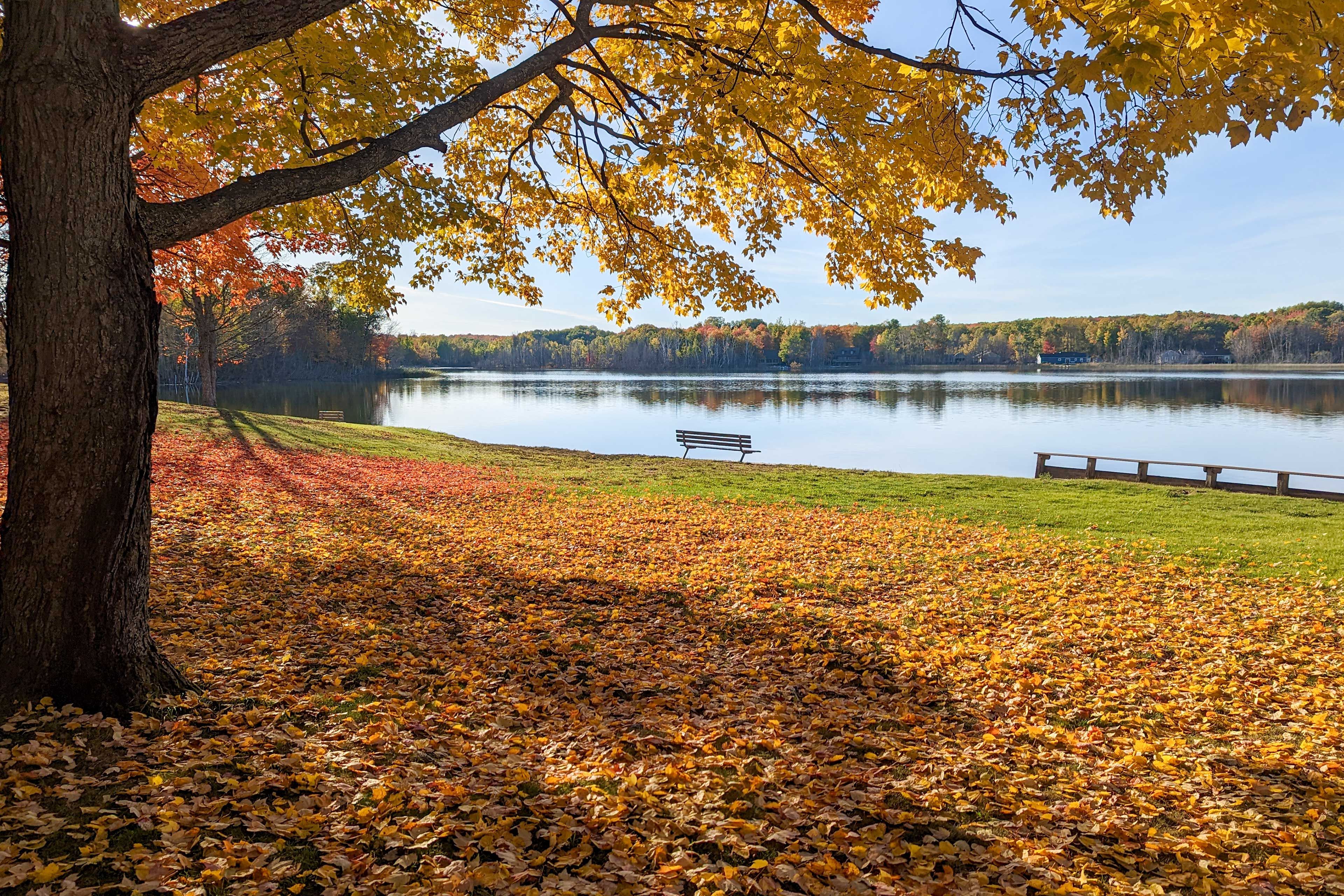 Lake of the North | Community Amenities | Lake Access | 2 Kayaks Provided