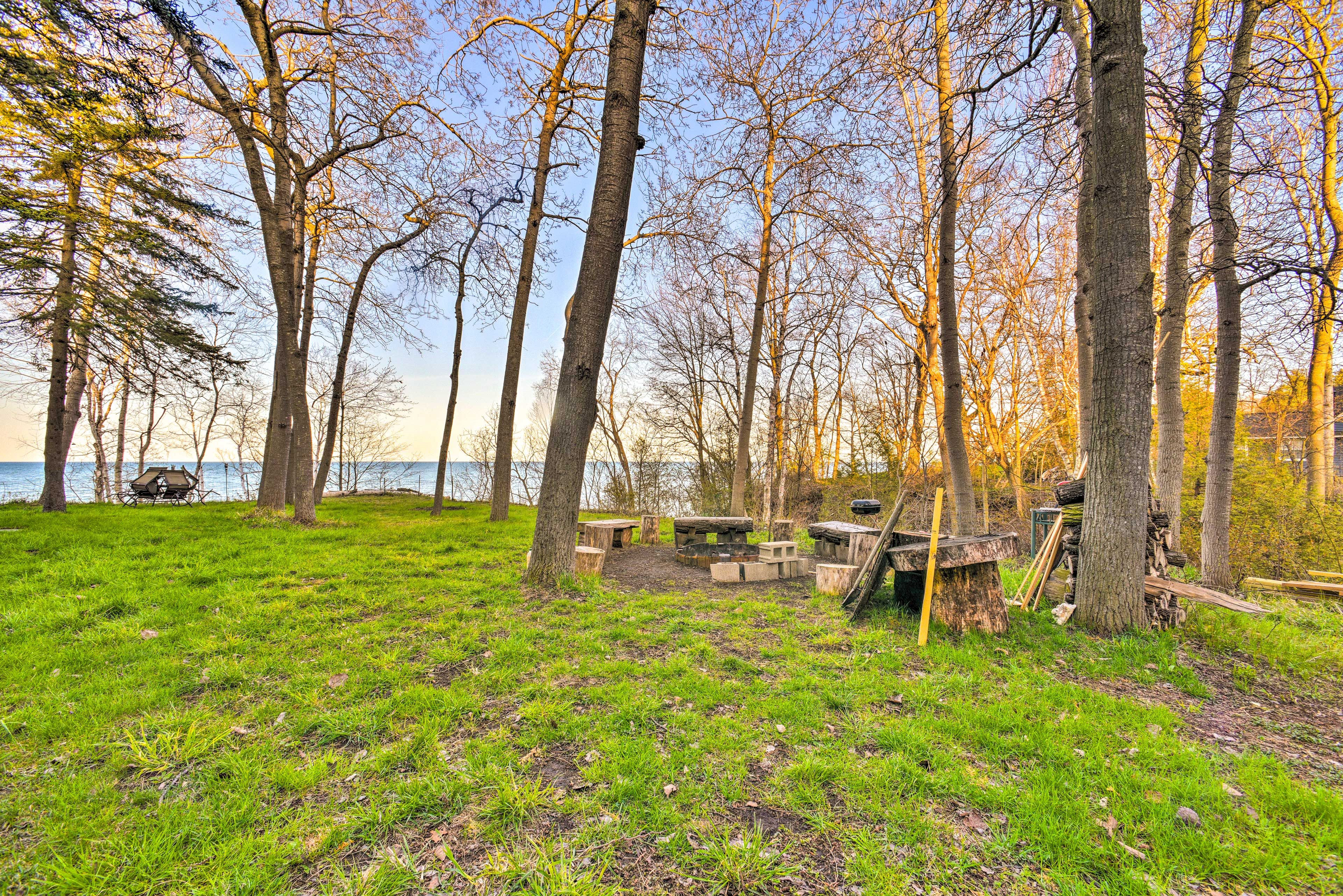 Wood-Burning Fire Pit | Grill