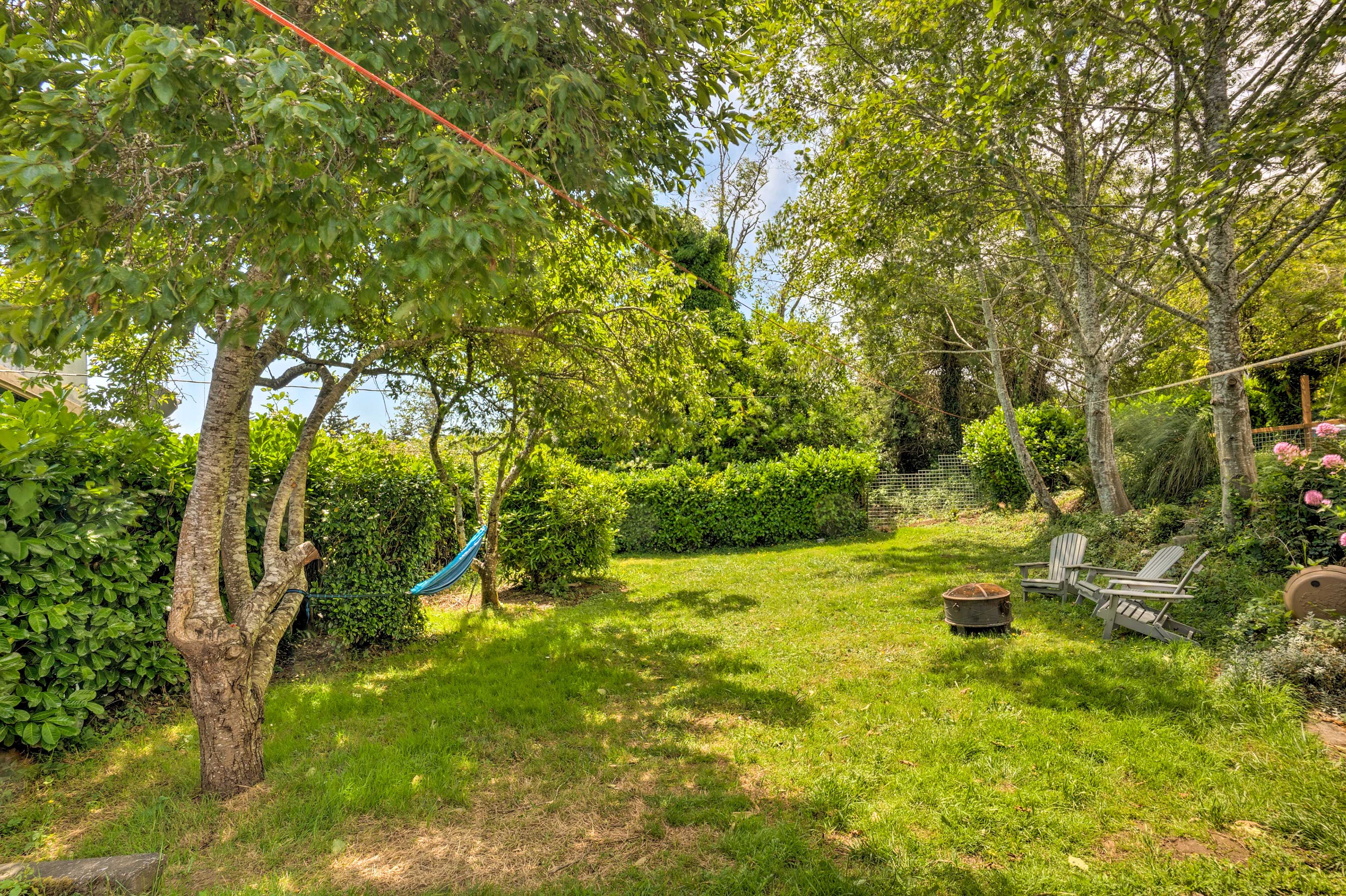 Wooded Backyard