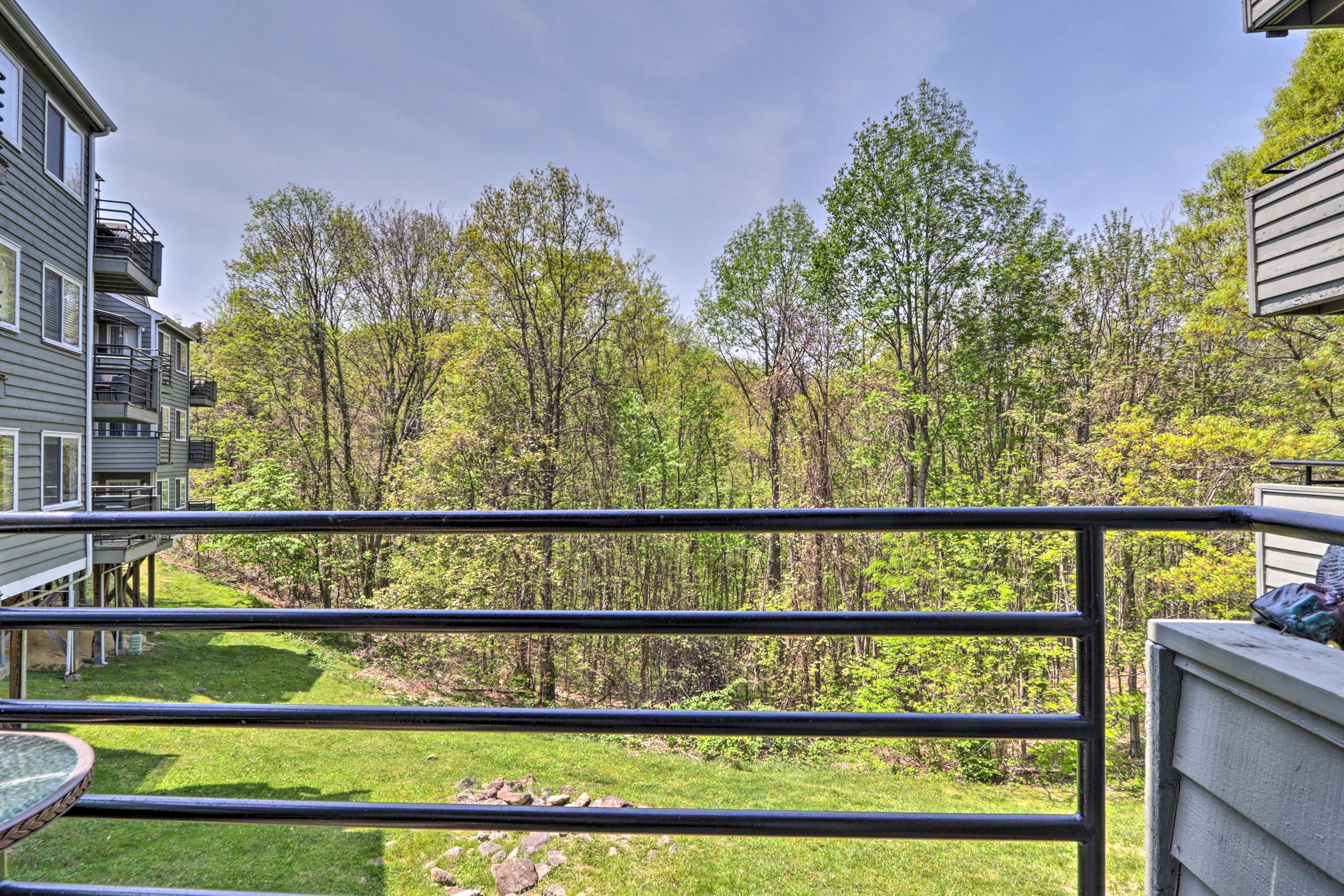 Balcony View