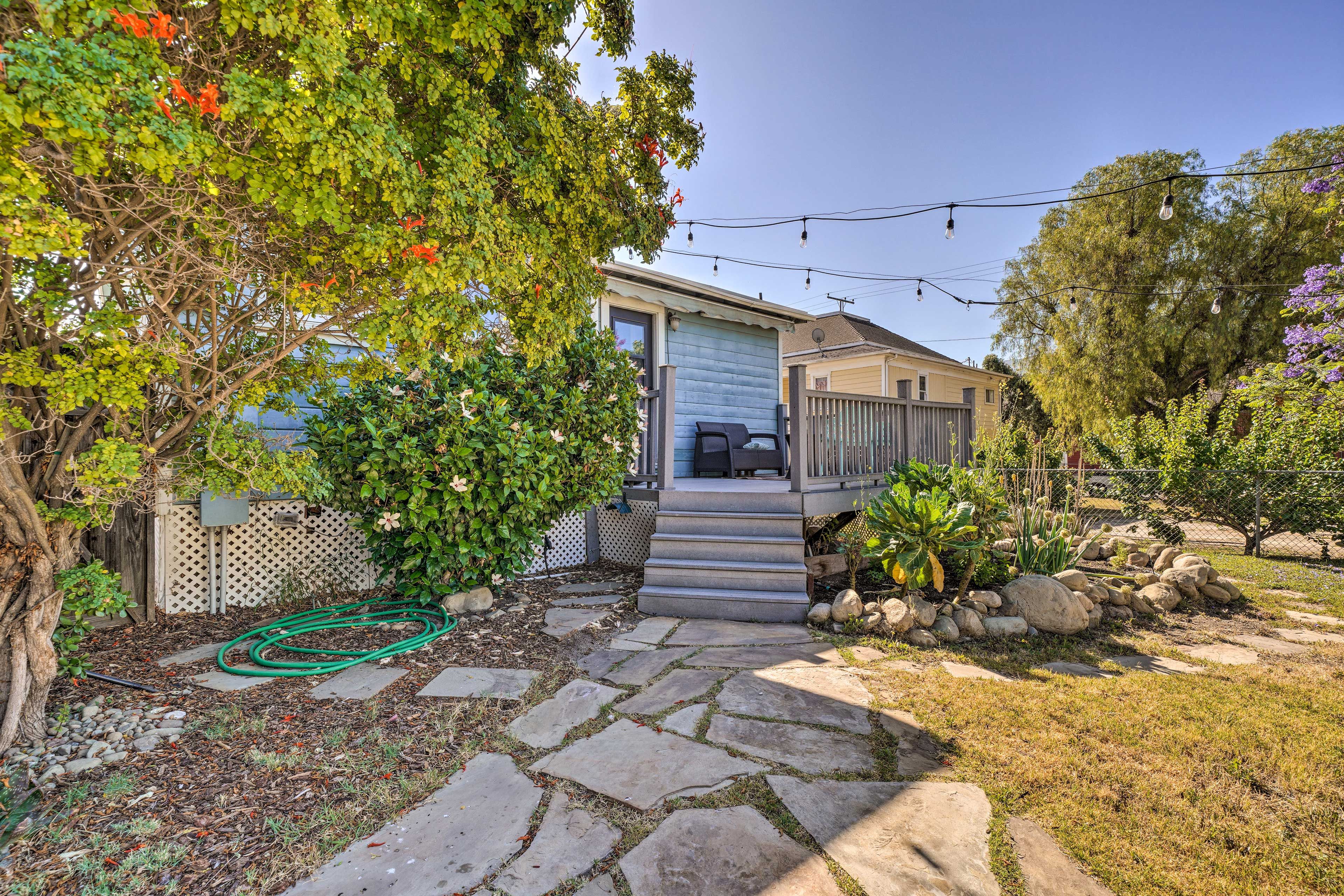 Backyard
