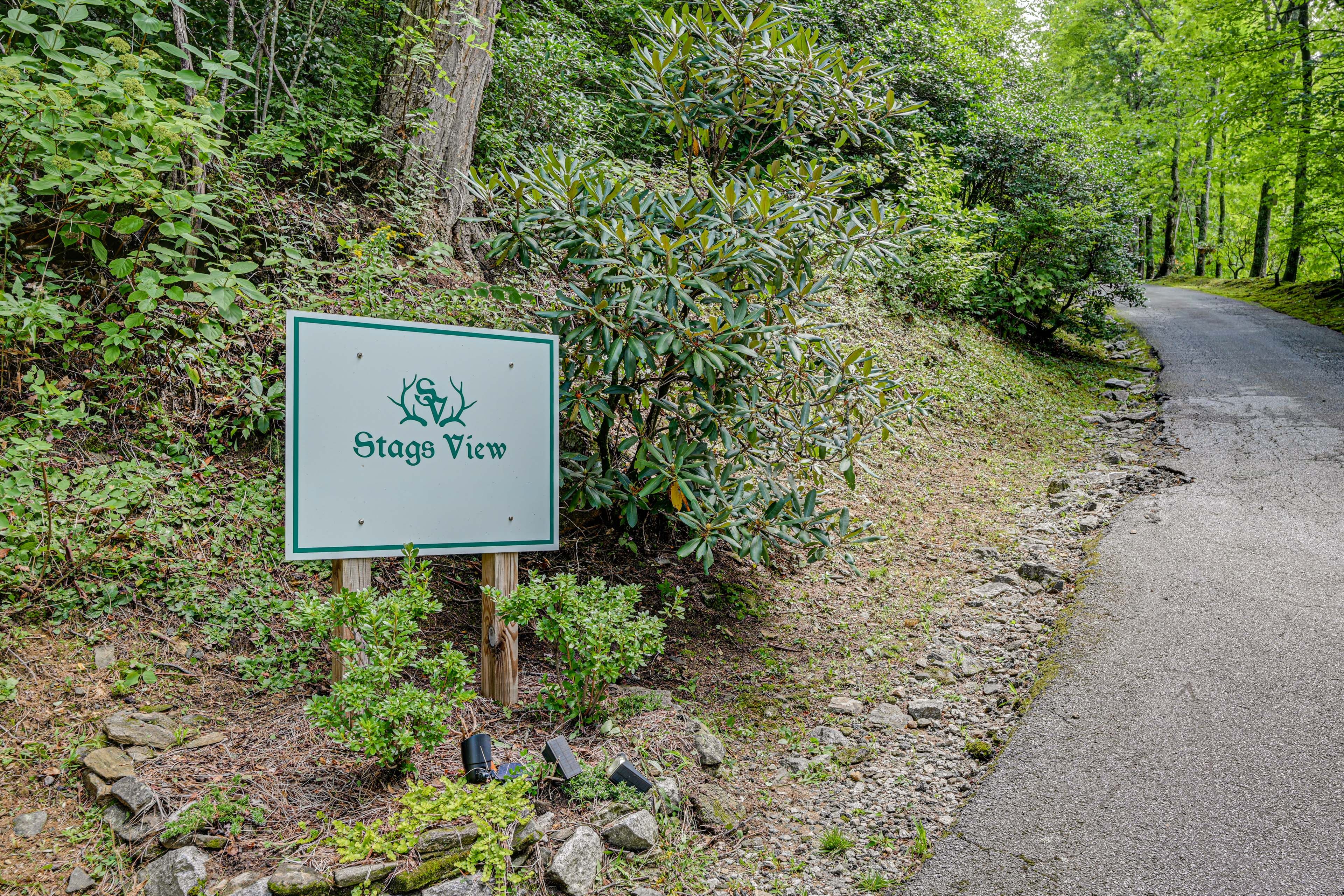 Image 53