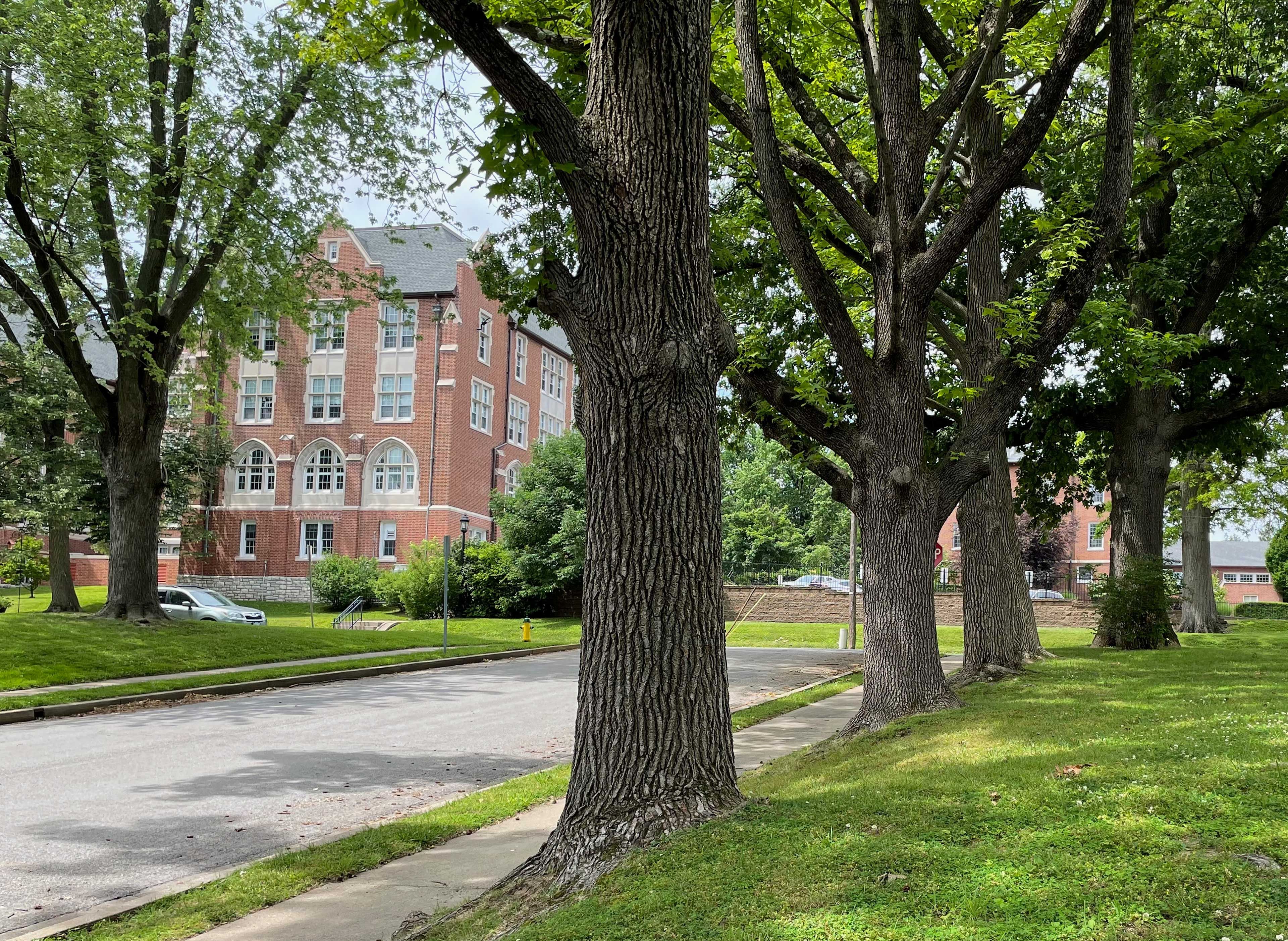 Image 39
