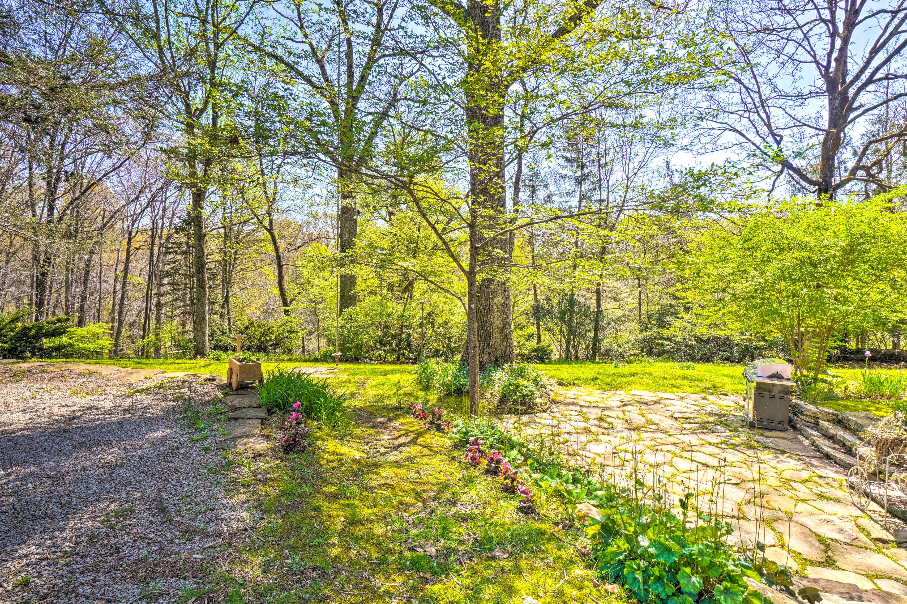 Backyard | Patio