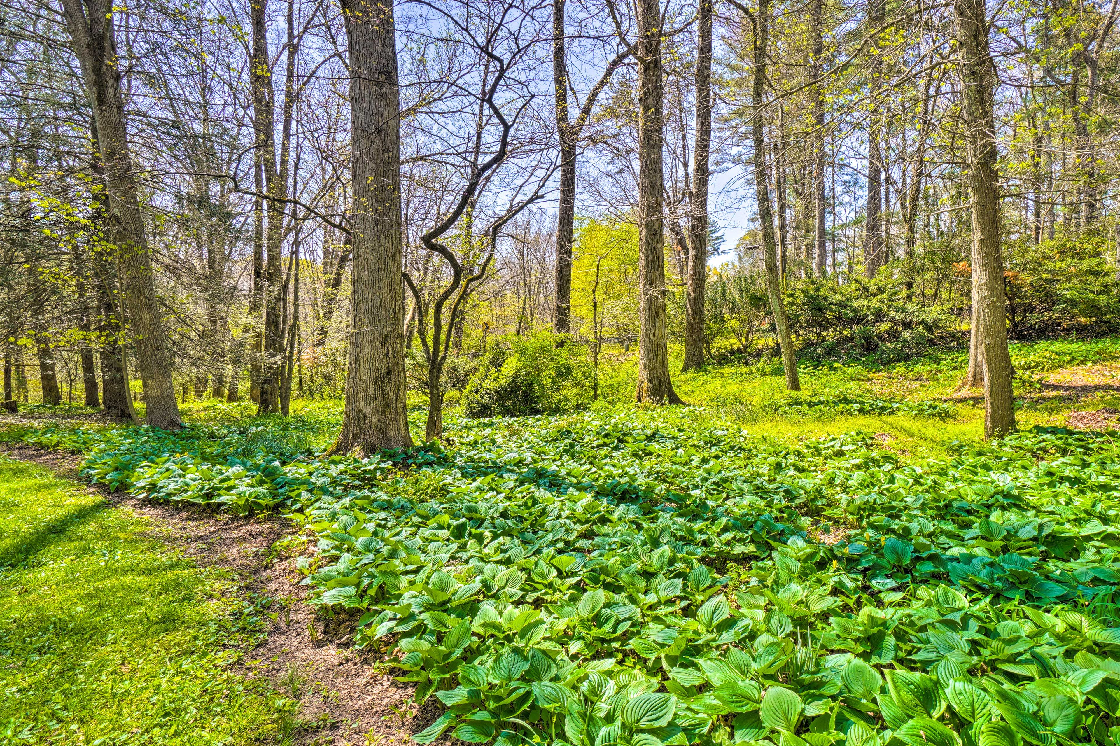 Gardens/Greenery