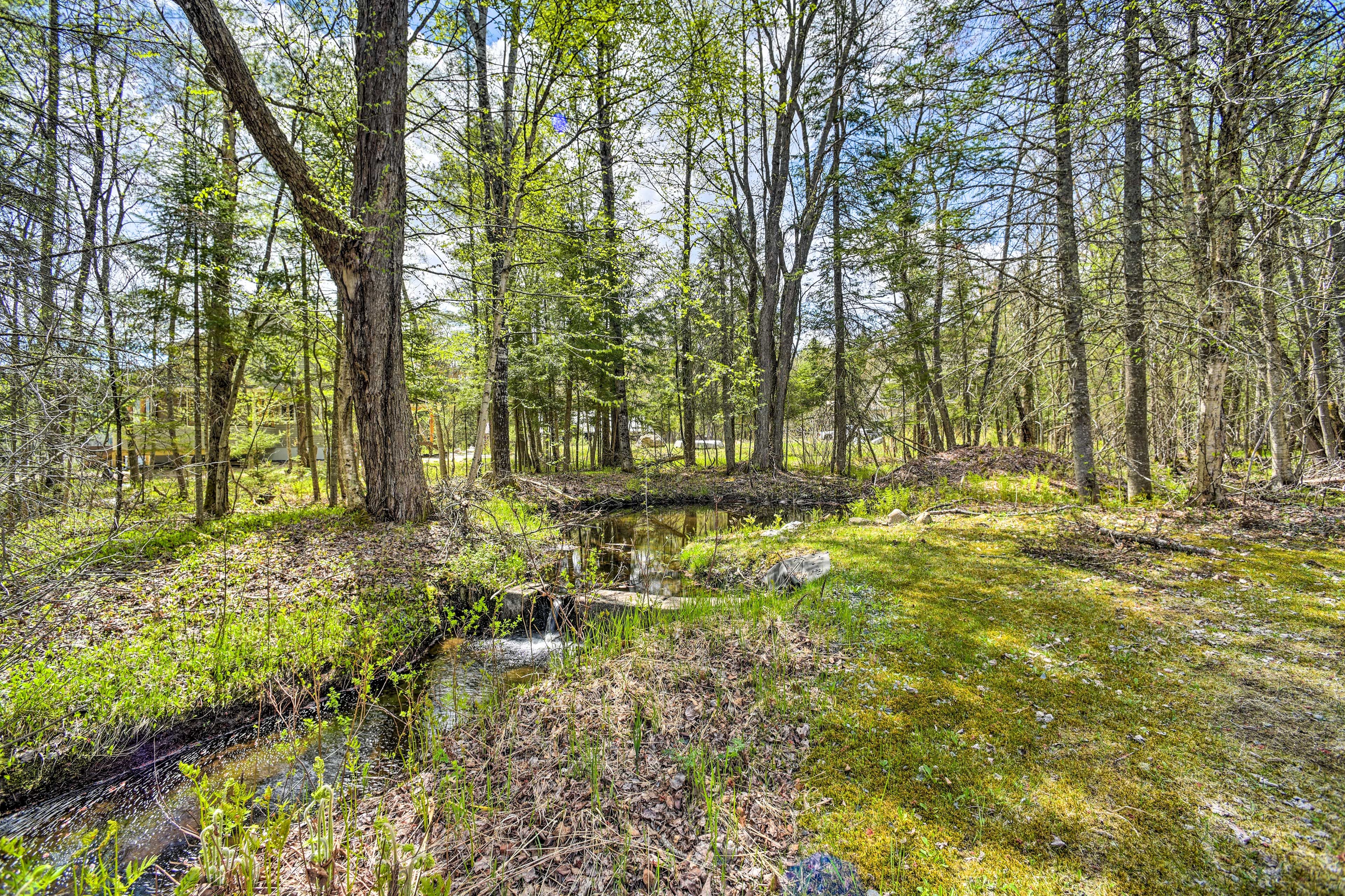 Creek On-Site