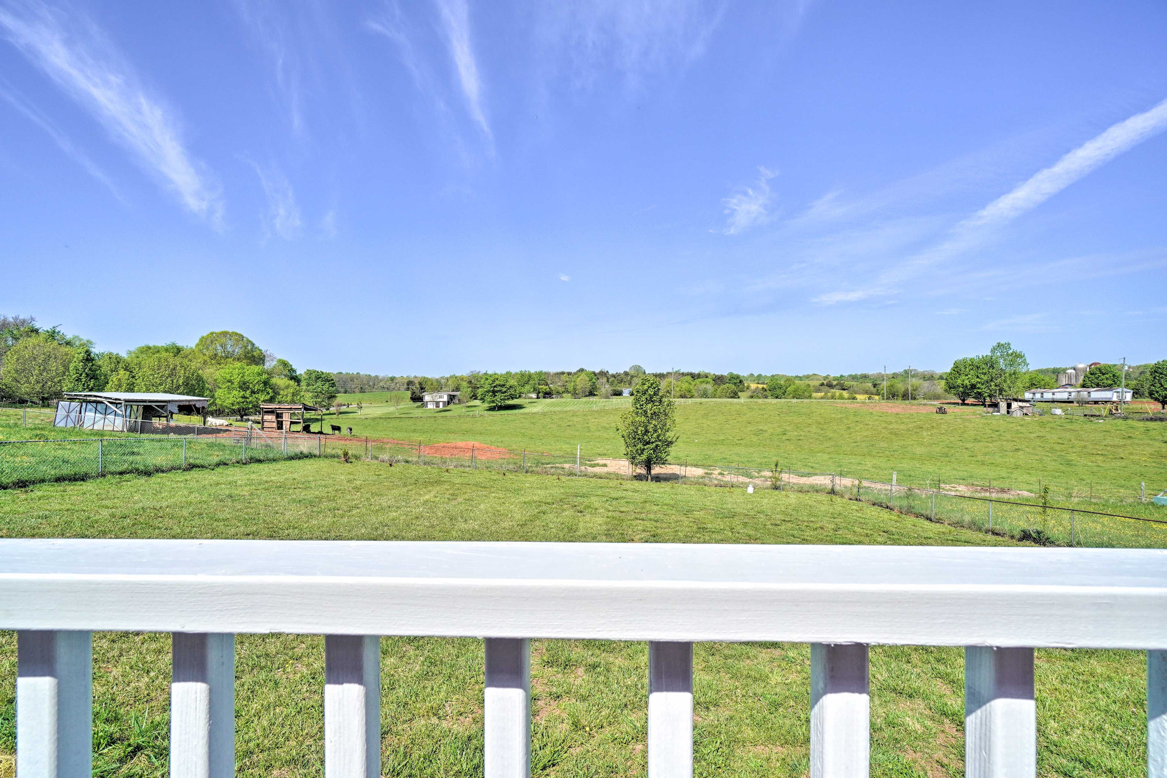 Property Views