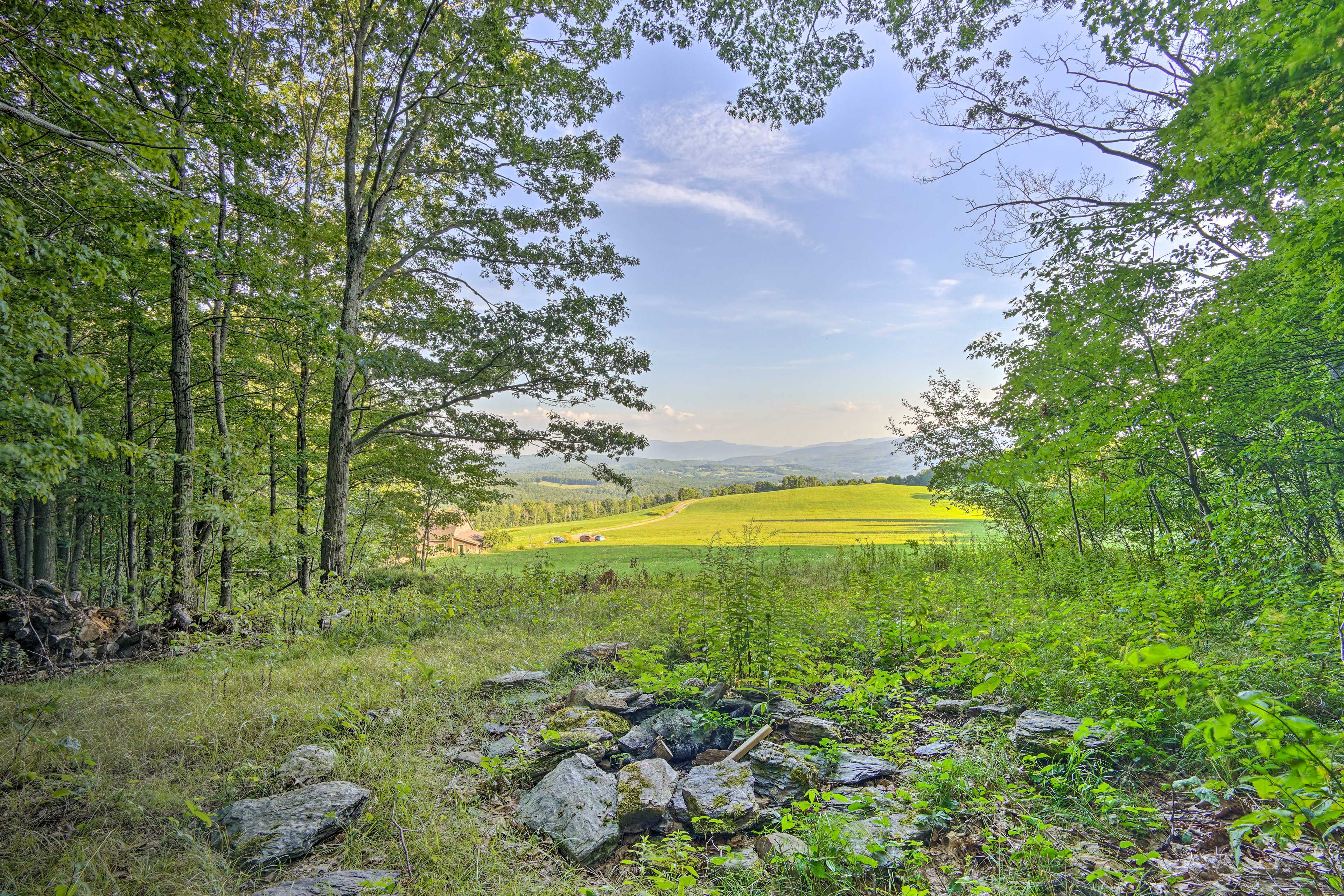 Surrounding Forest