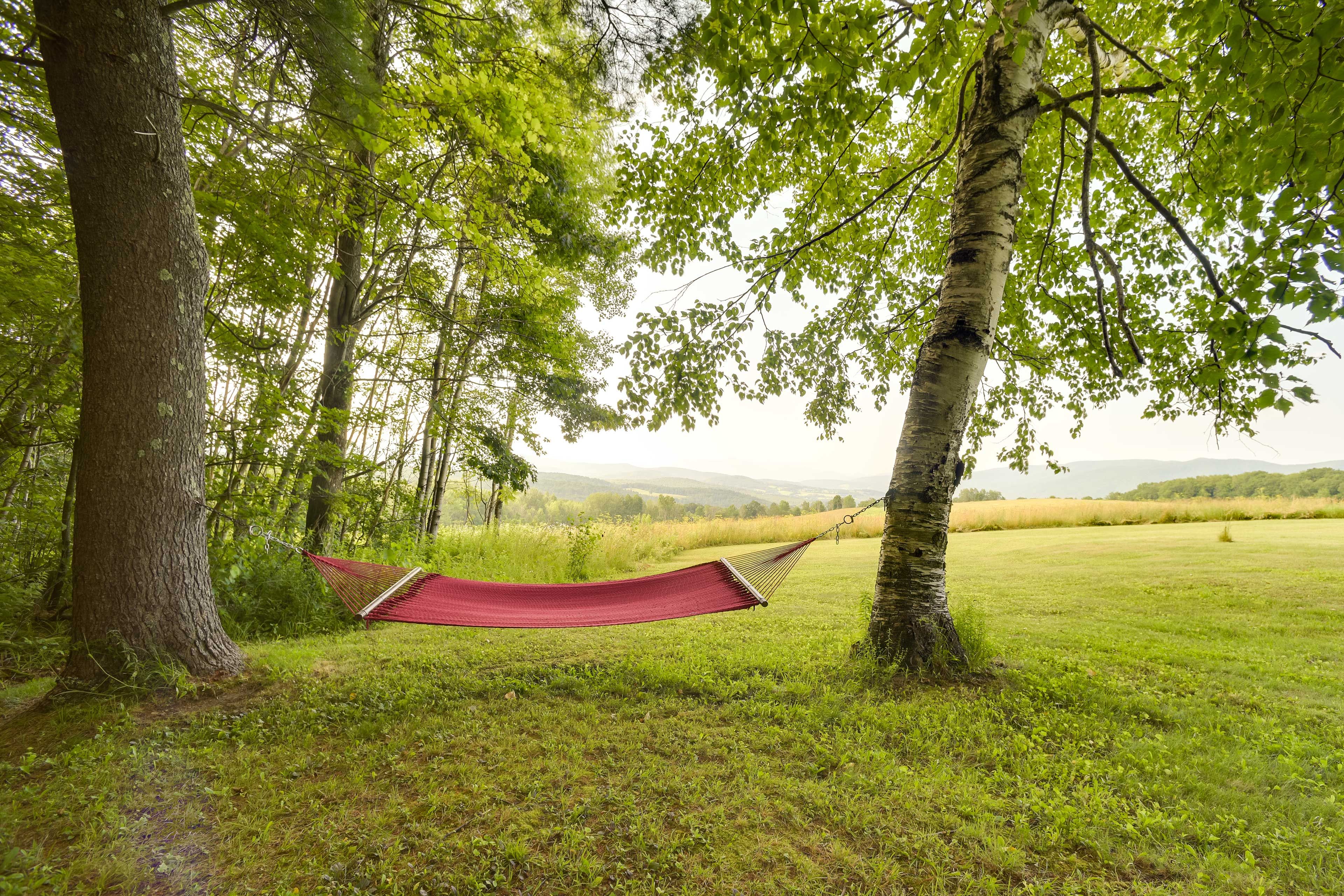 Hammock