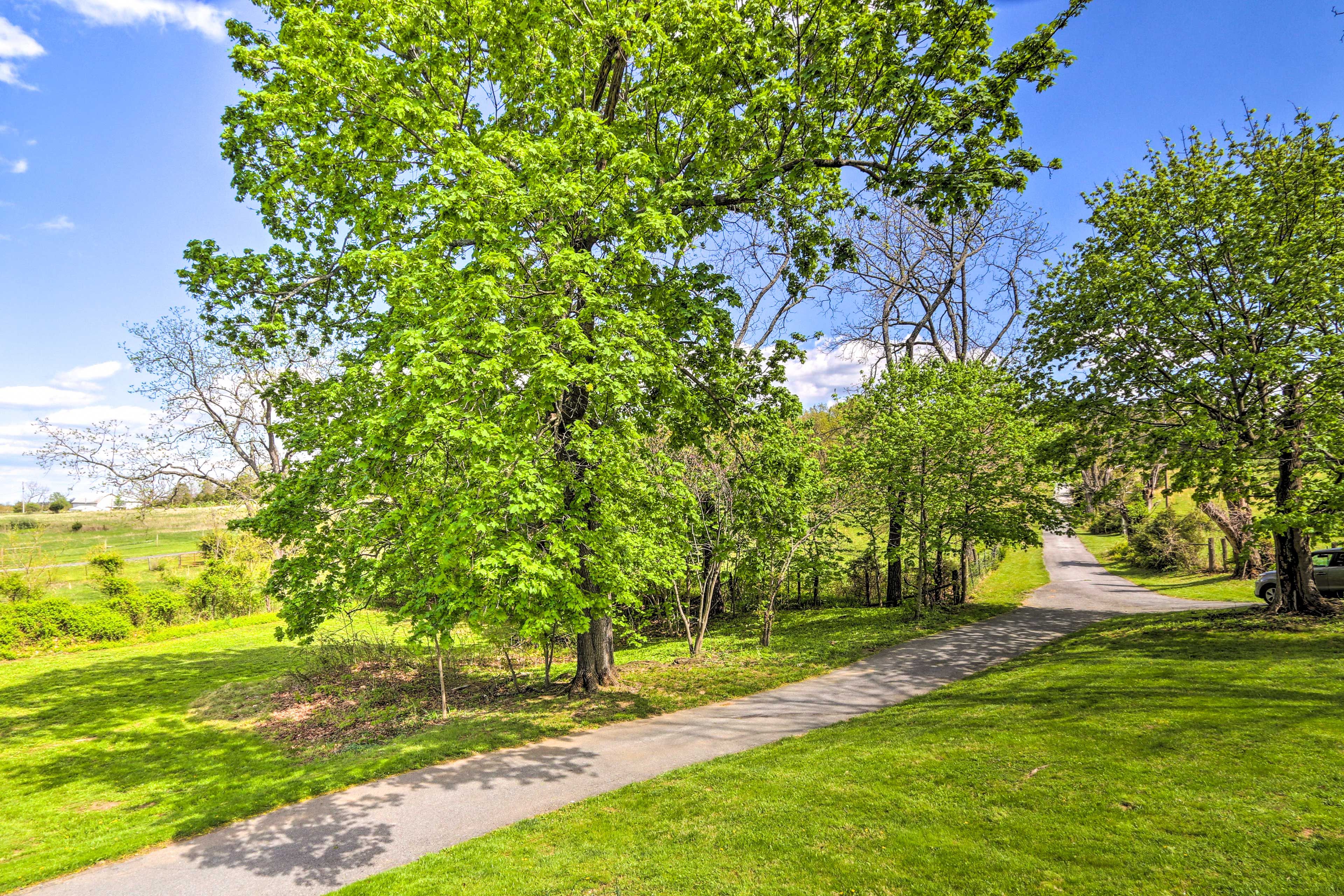 Driveway | Parking for 3 Vehicles