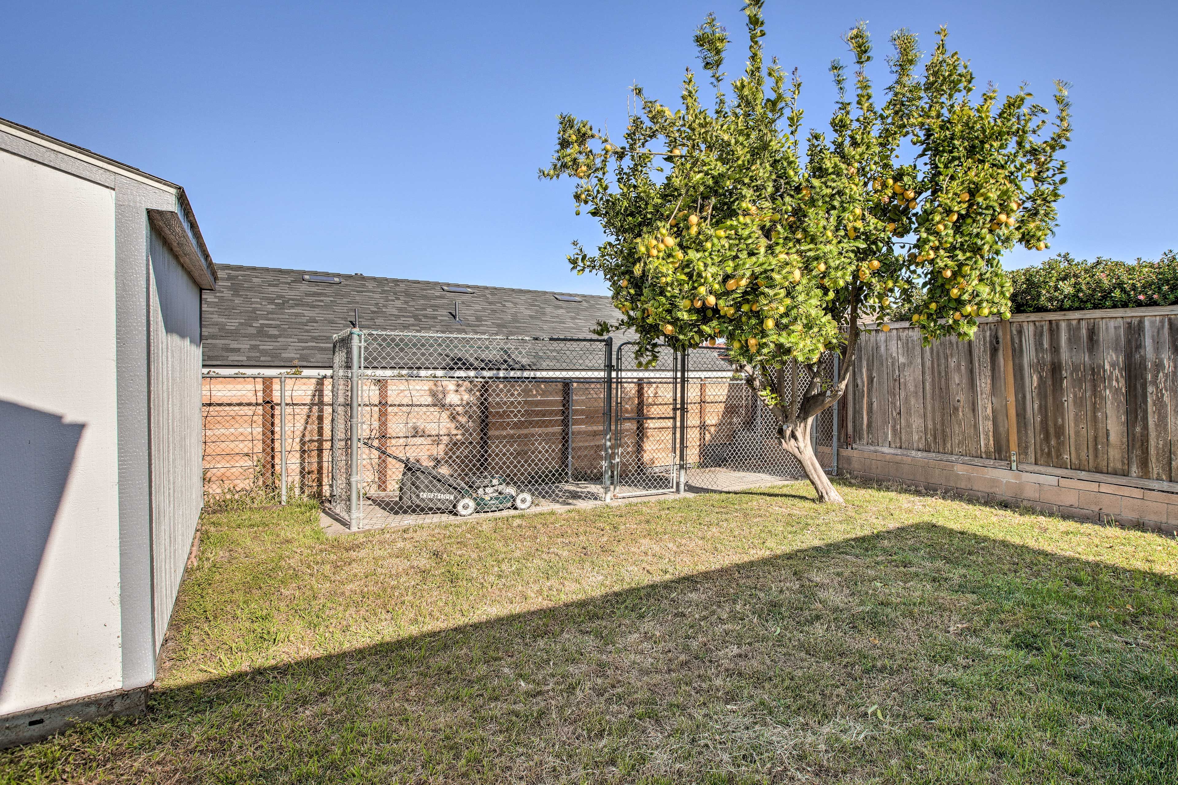 Private Yard