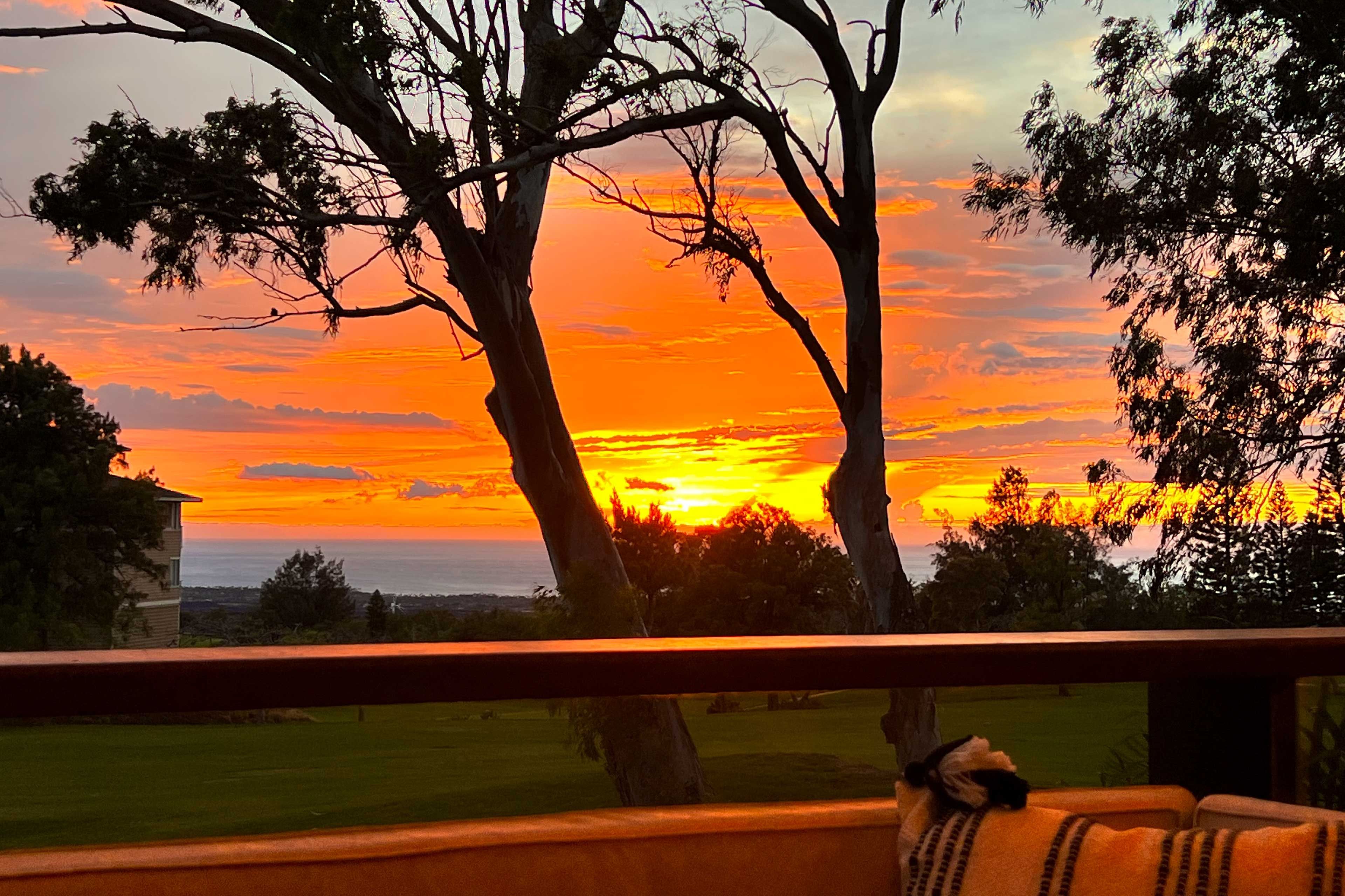 Sunset Views