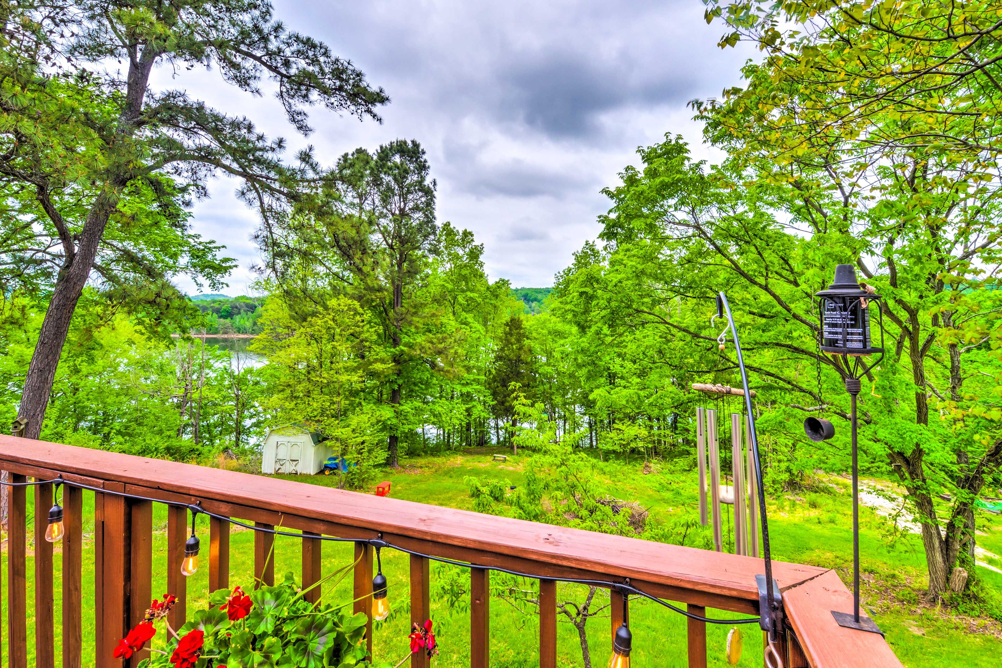 Deck | Pet Friendly