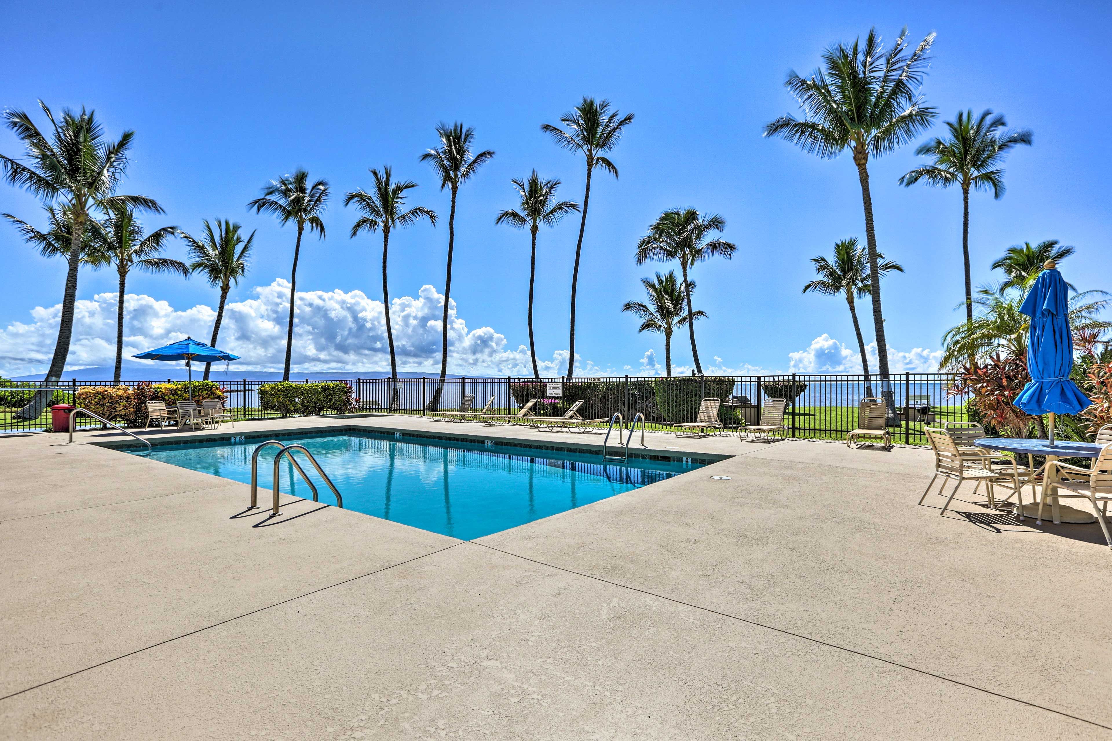 Community Amenities | Pool & Hot Tub | Grilling & Picnic Areas | Shuffleboard