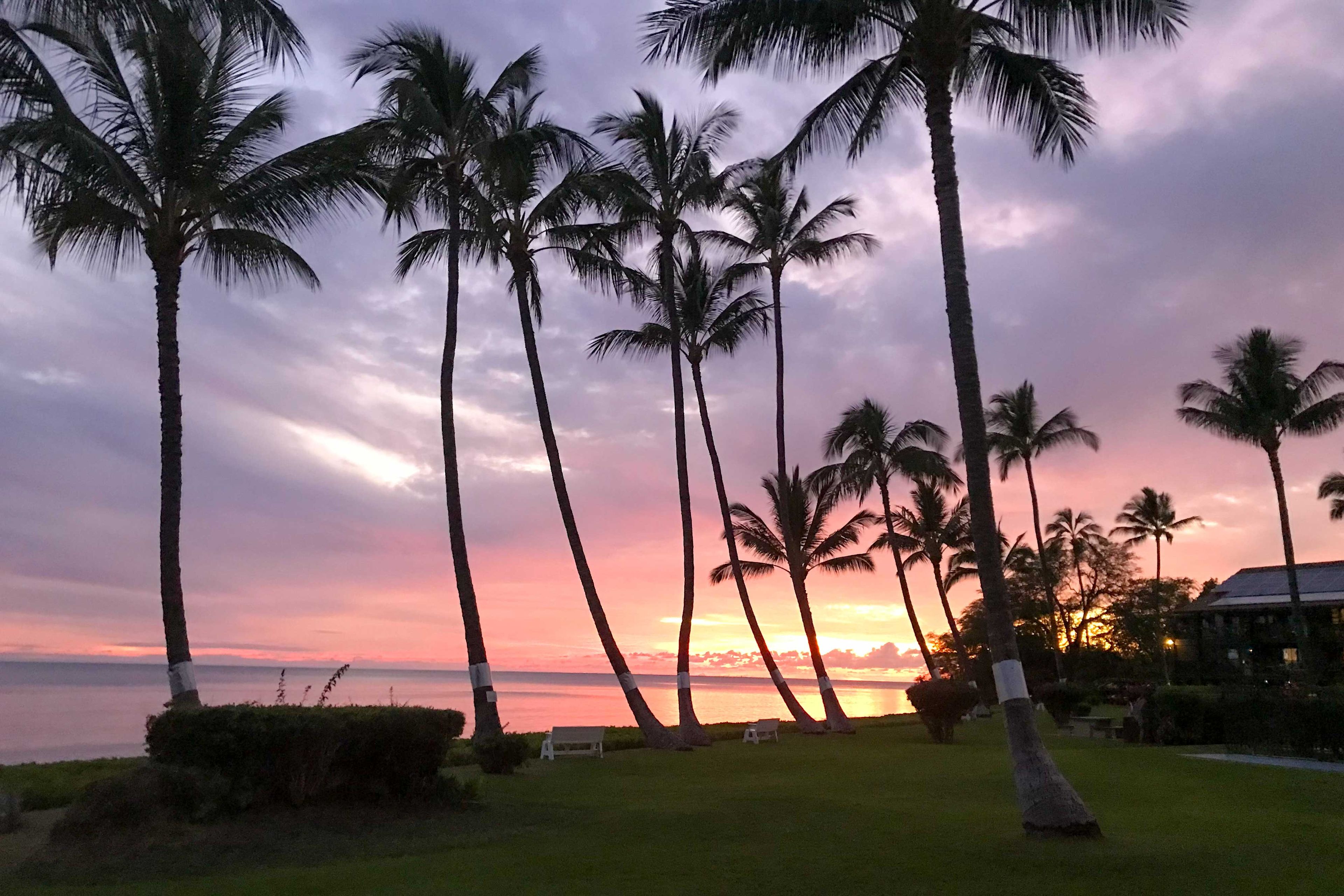 Sunset View