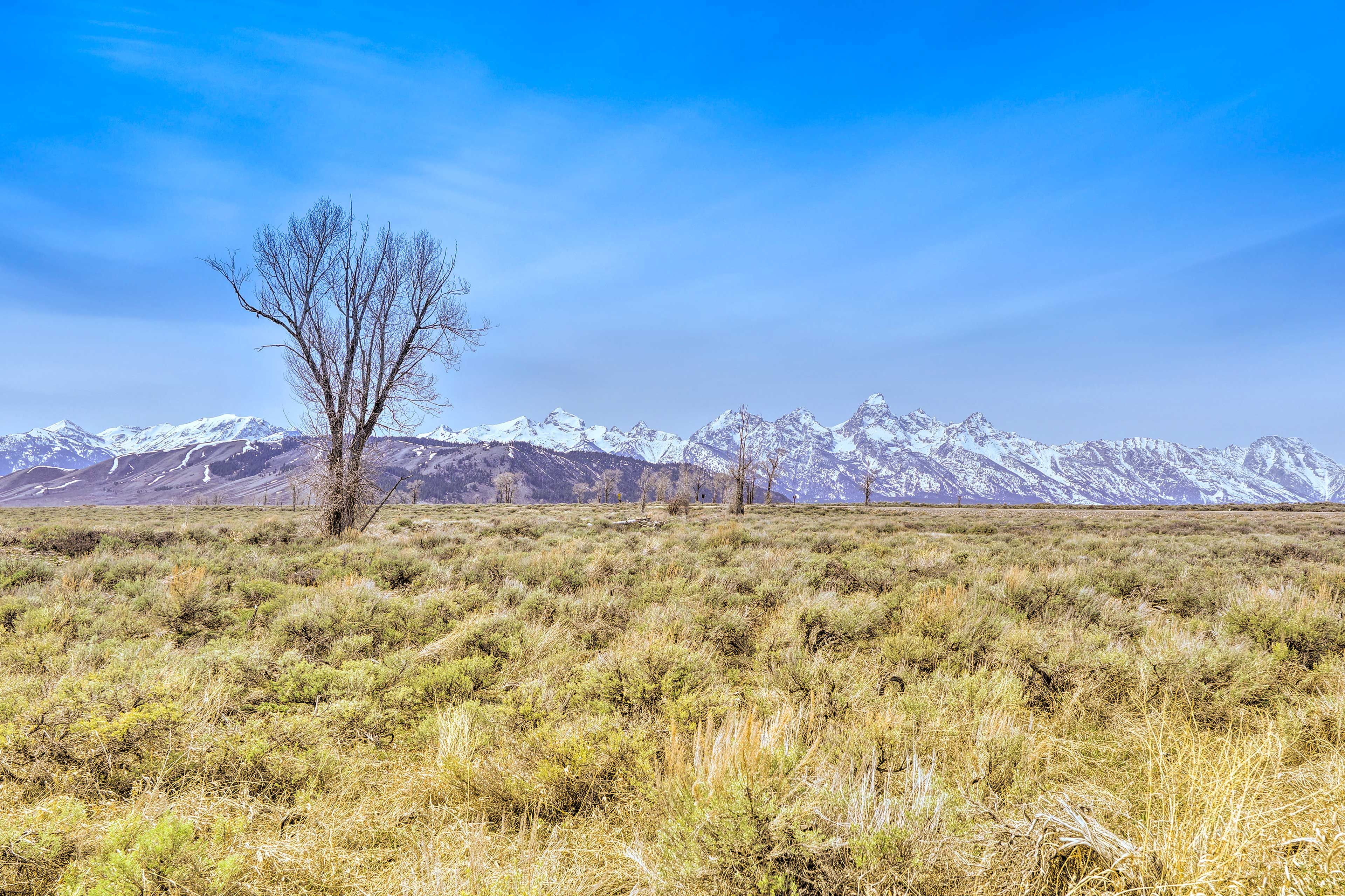Property Views