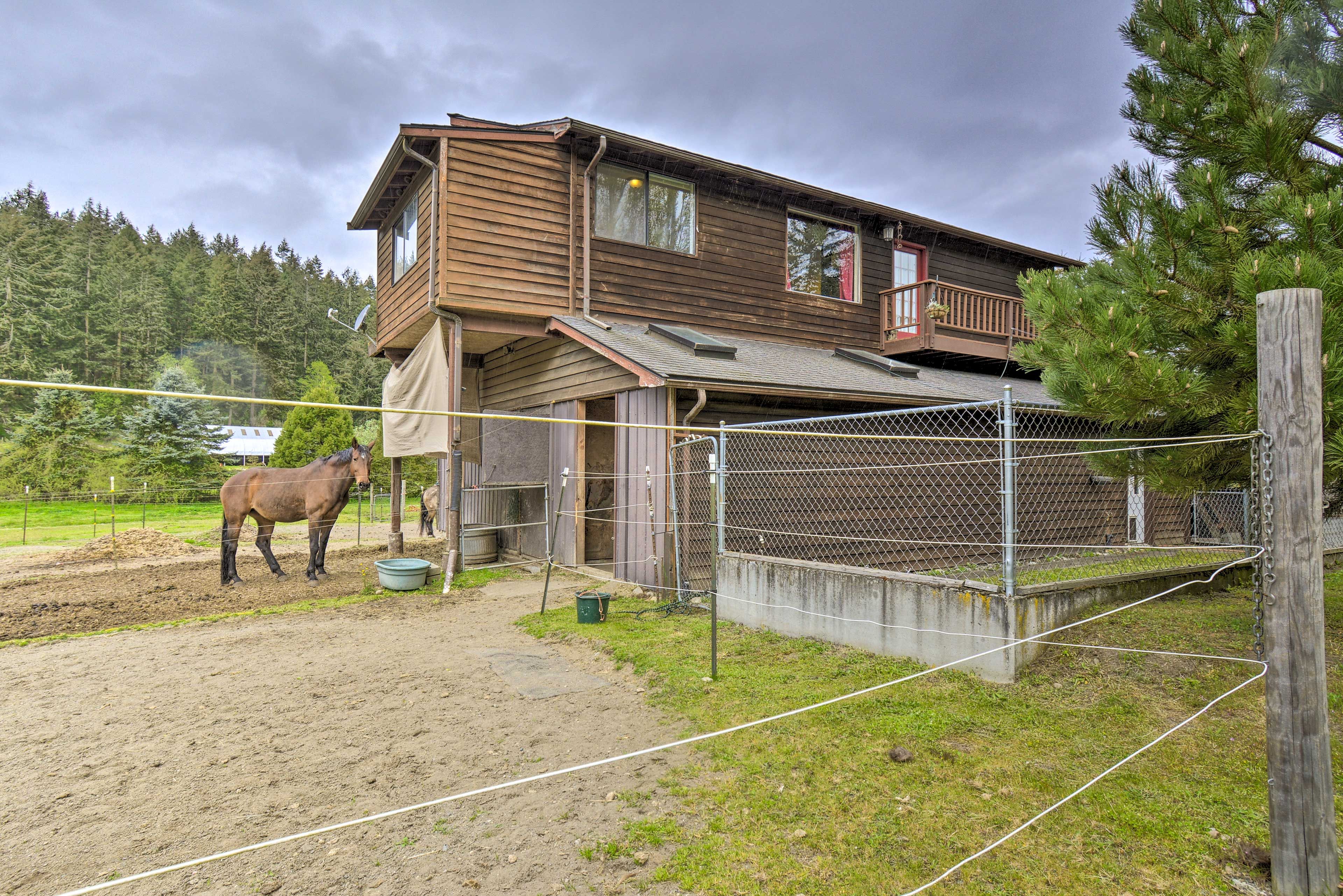 Cabin Exterior | Working Horse Farm On-Site