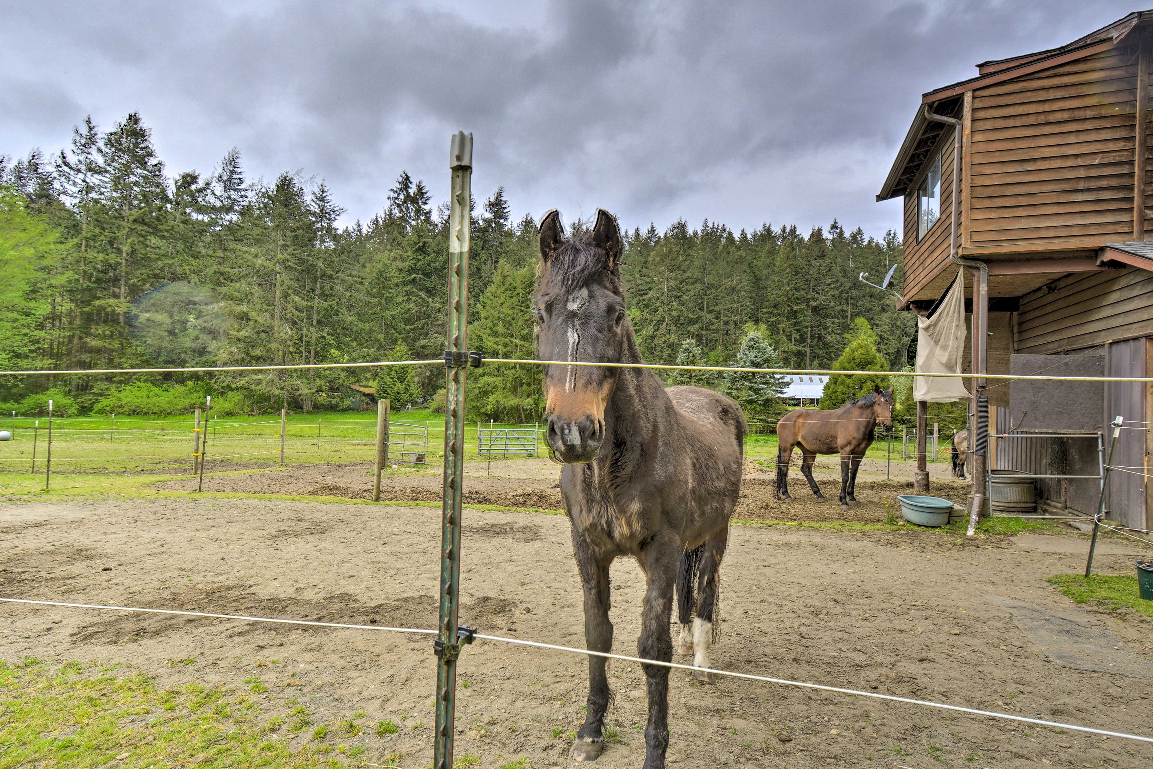 Cabin Exterior | Working Horse Farm On-Site