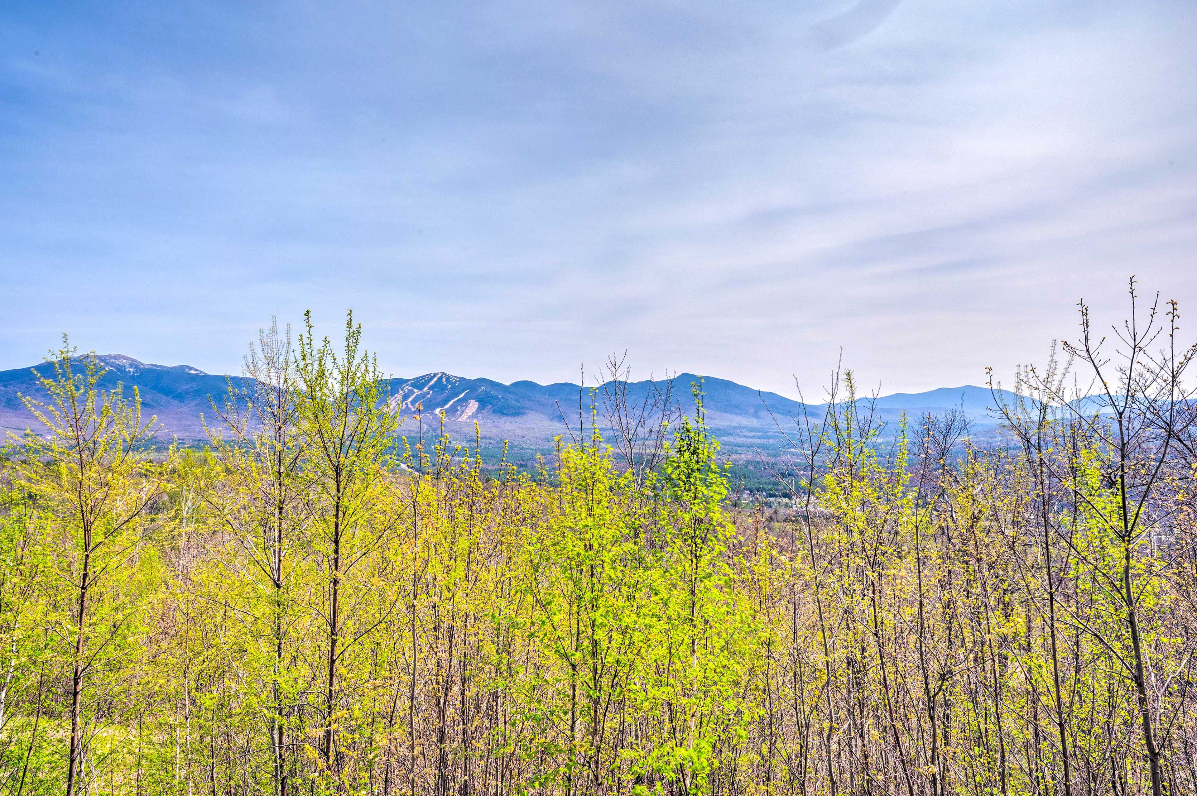 Mountain Views