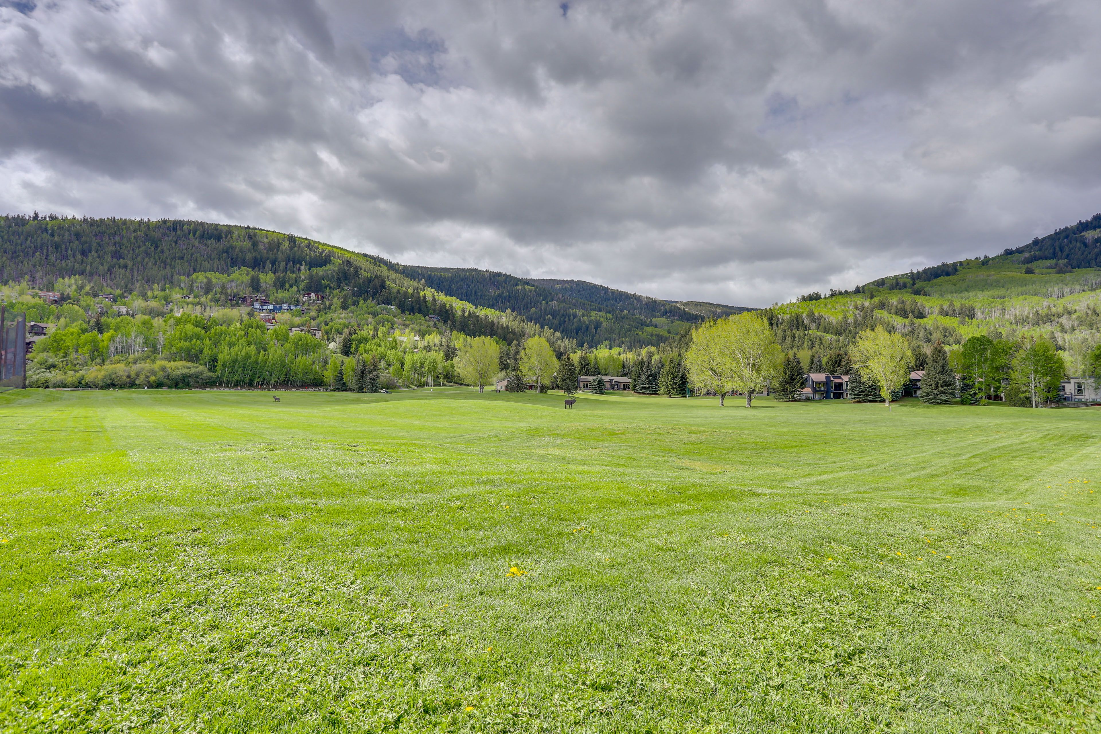 Public Golf Course | Steps Away