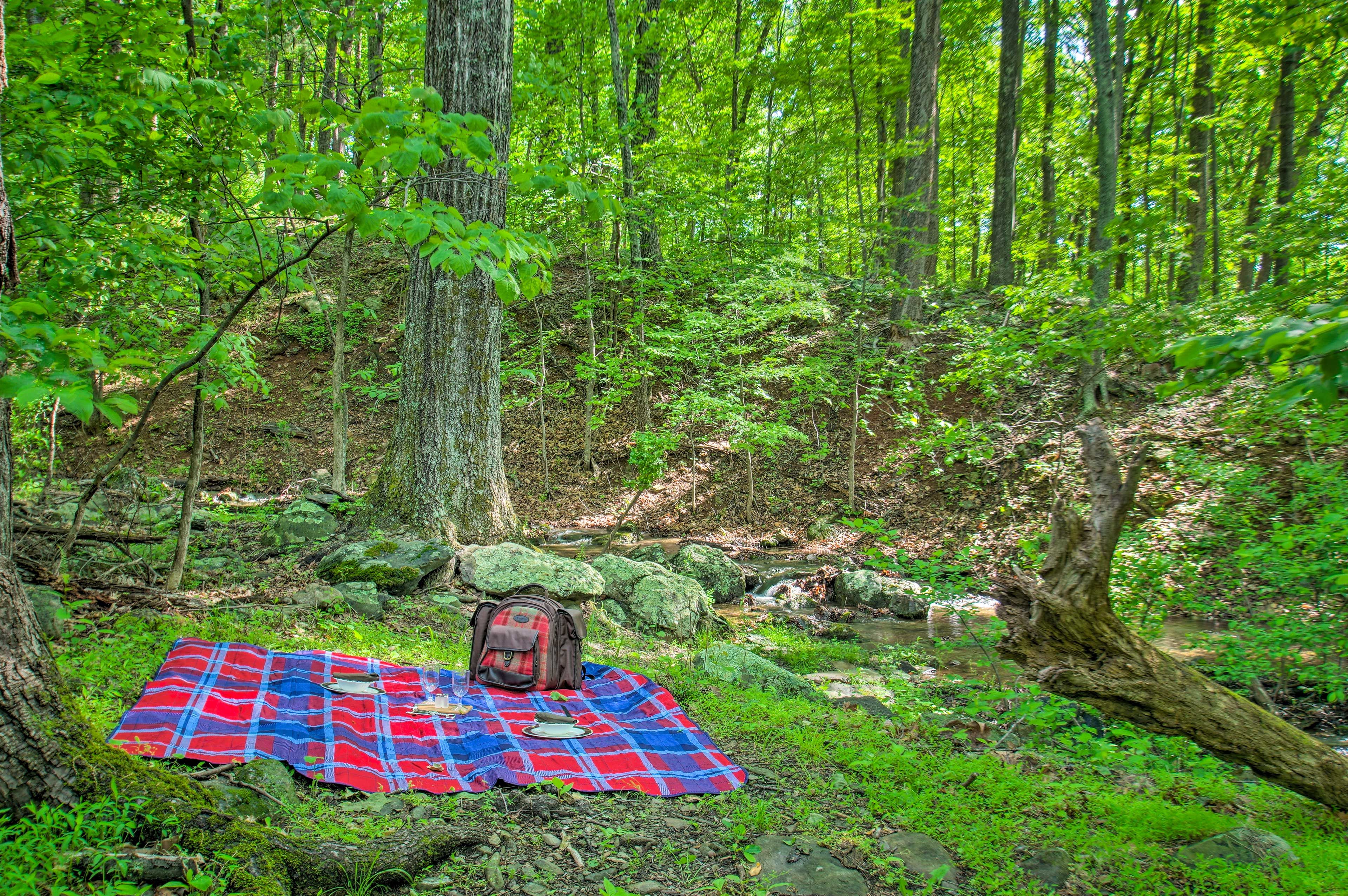 Creek On-Site | Picnic Kit Provided
