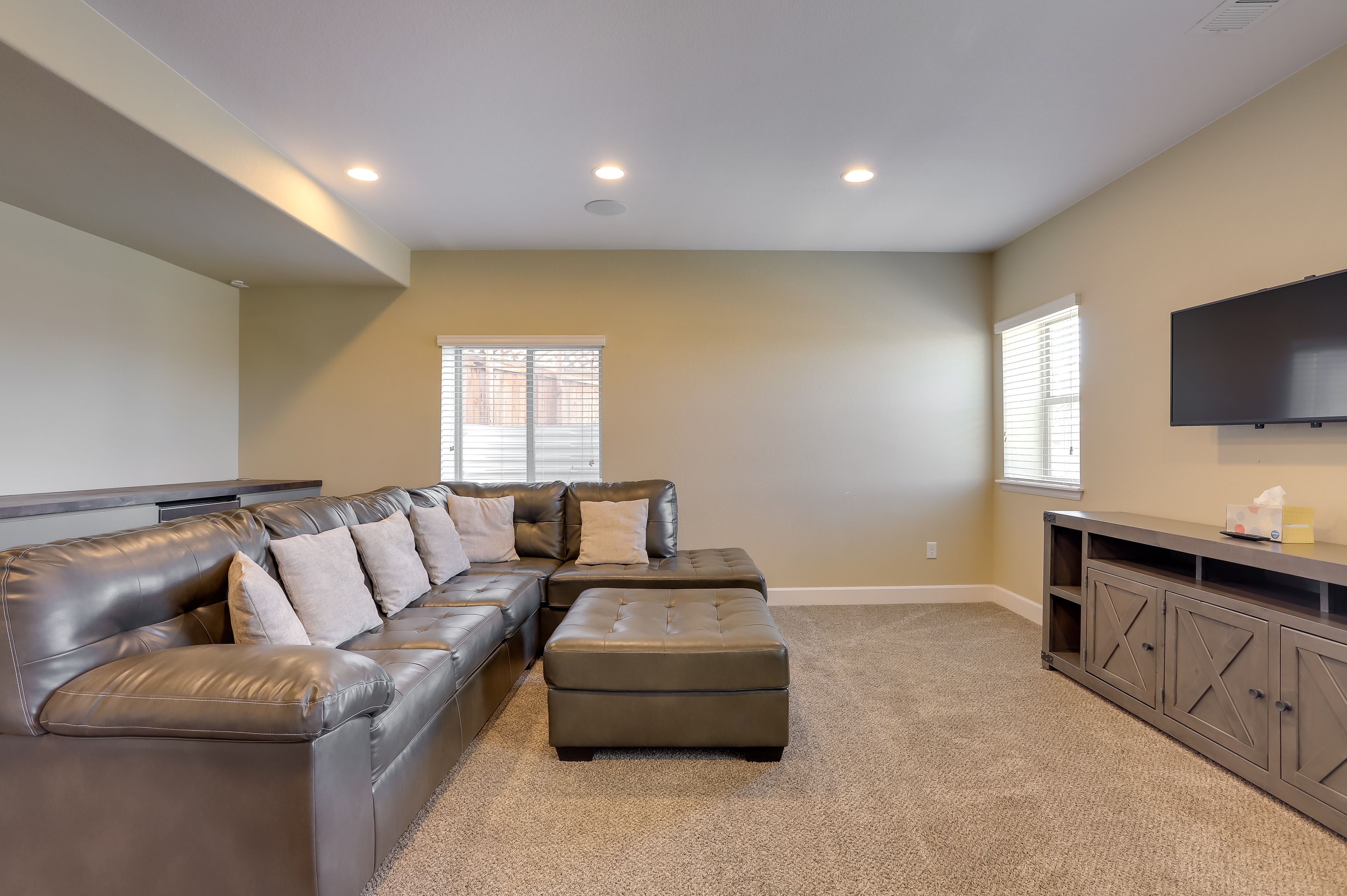 Basement Living Room
