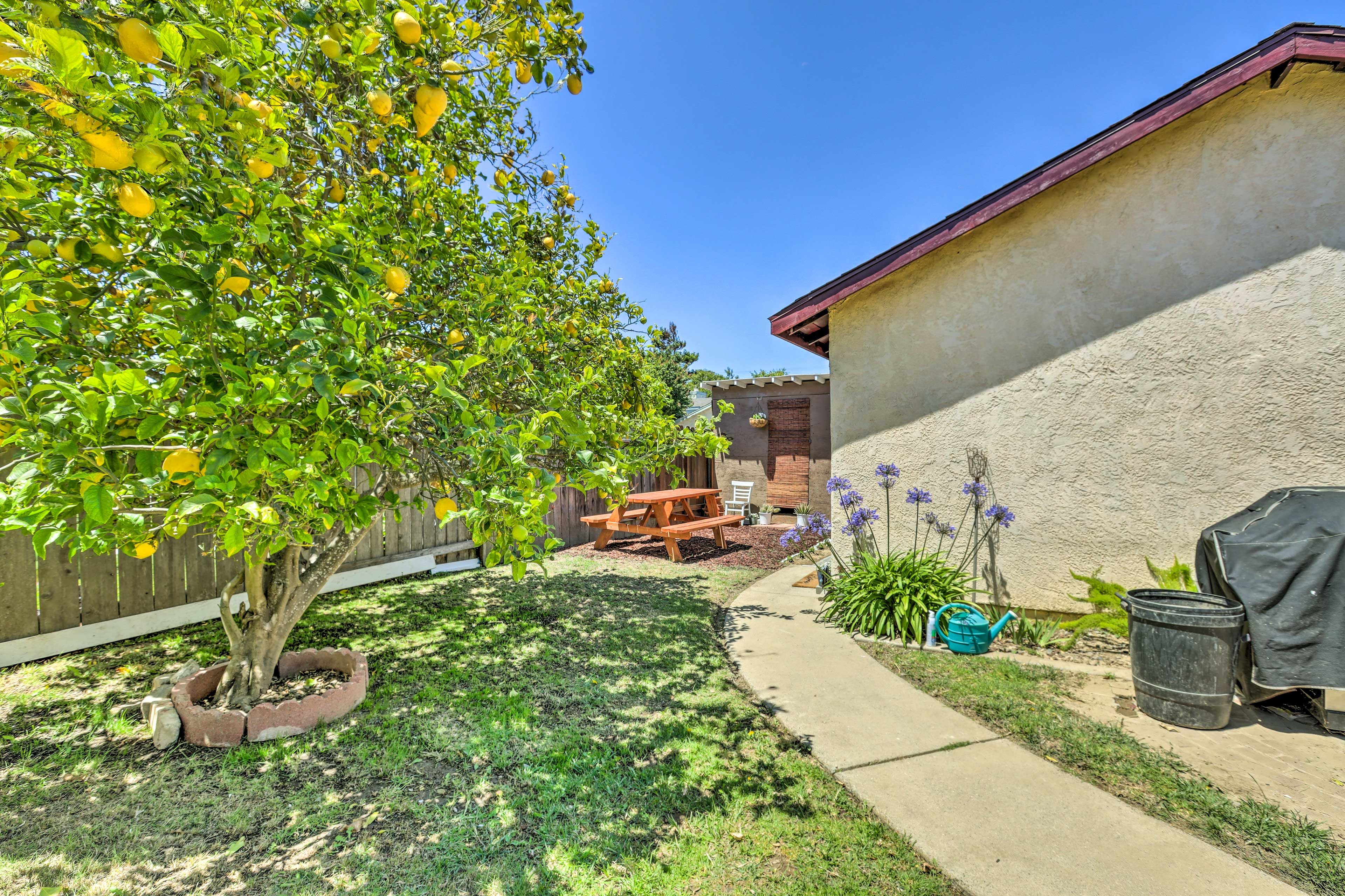 Studio Exterior | Yard Area