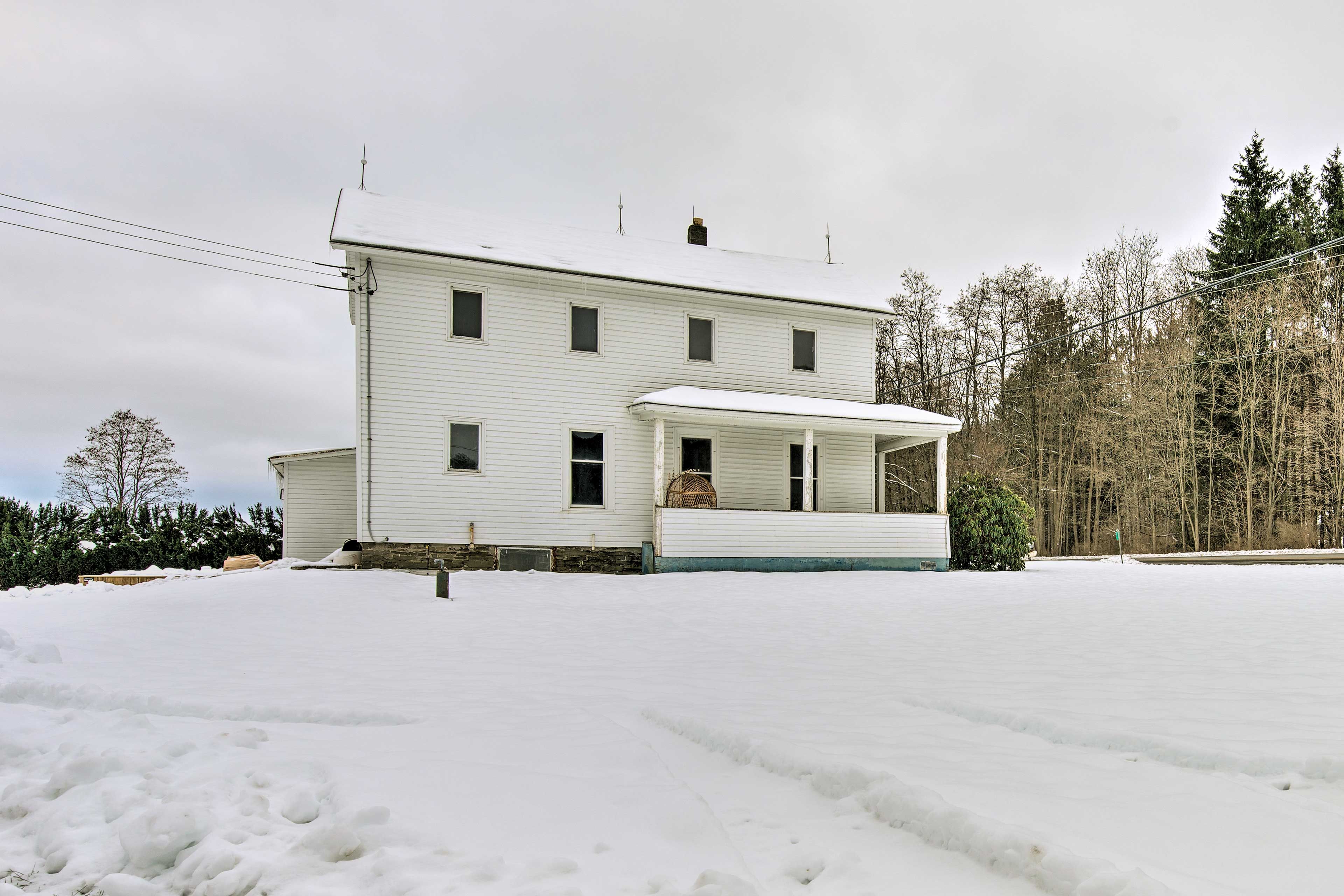 Image 28