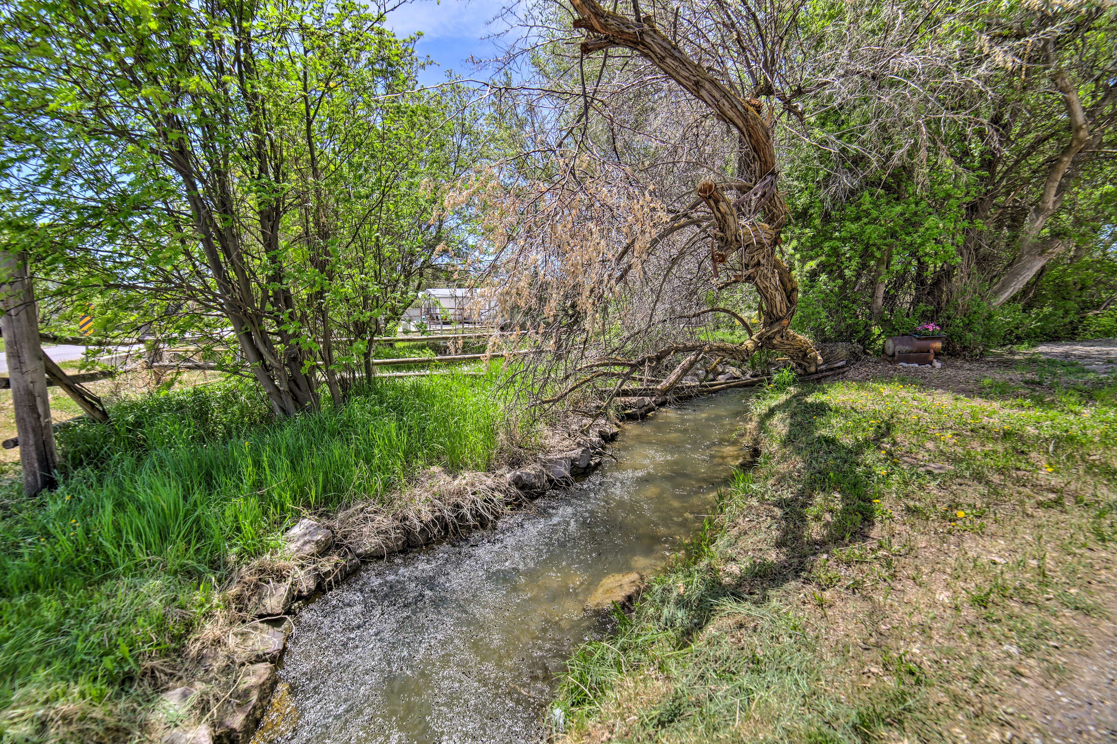 Creek | Working Farm | Farm Animals On-Site