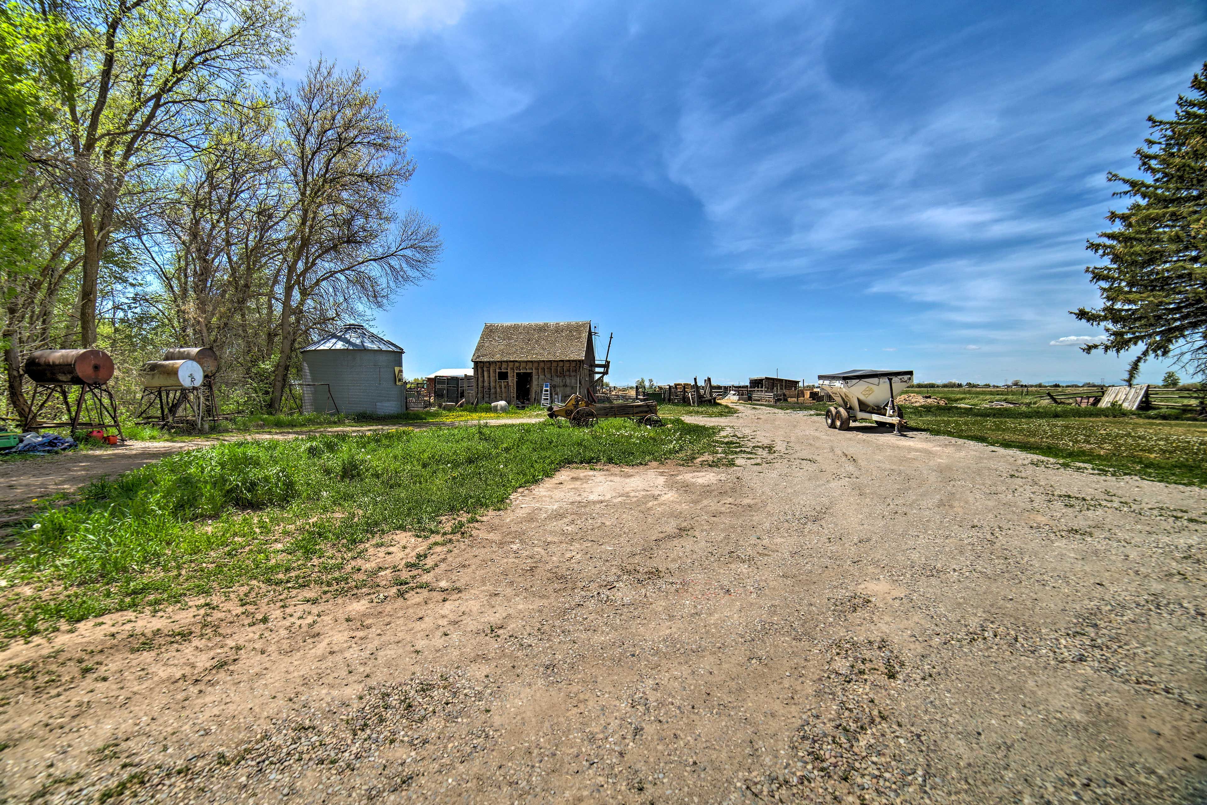 Image 33