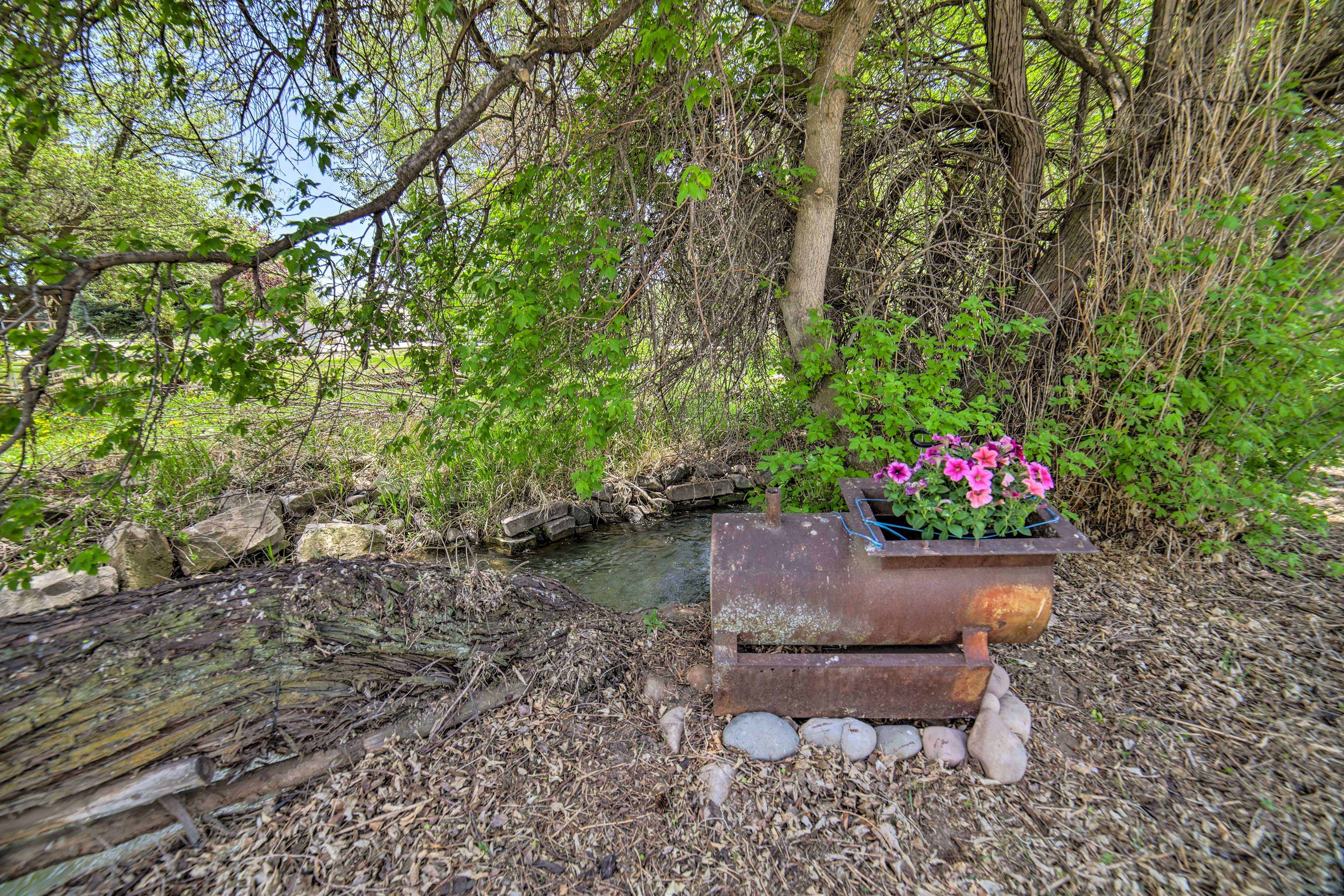 Image 32