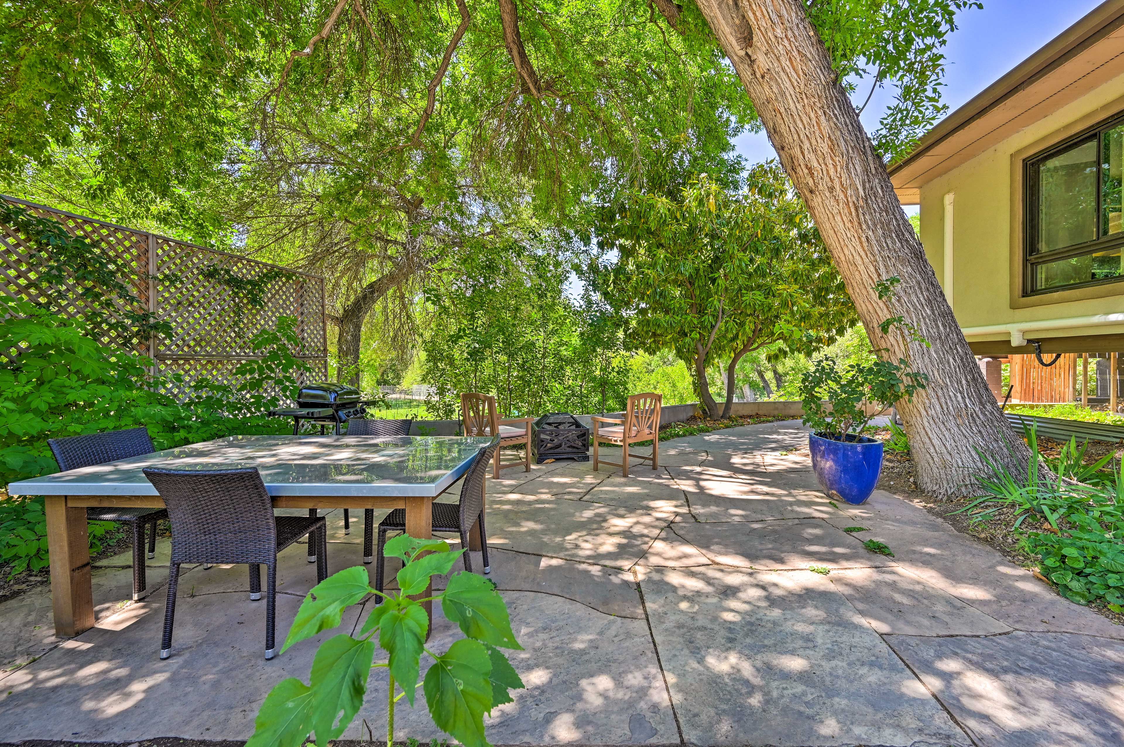 Patio | Wildlife & Farm Animals On-Site | No Fire Pit Use