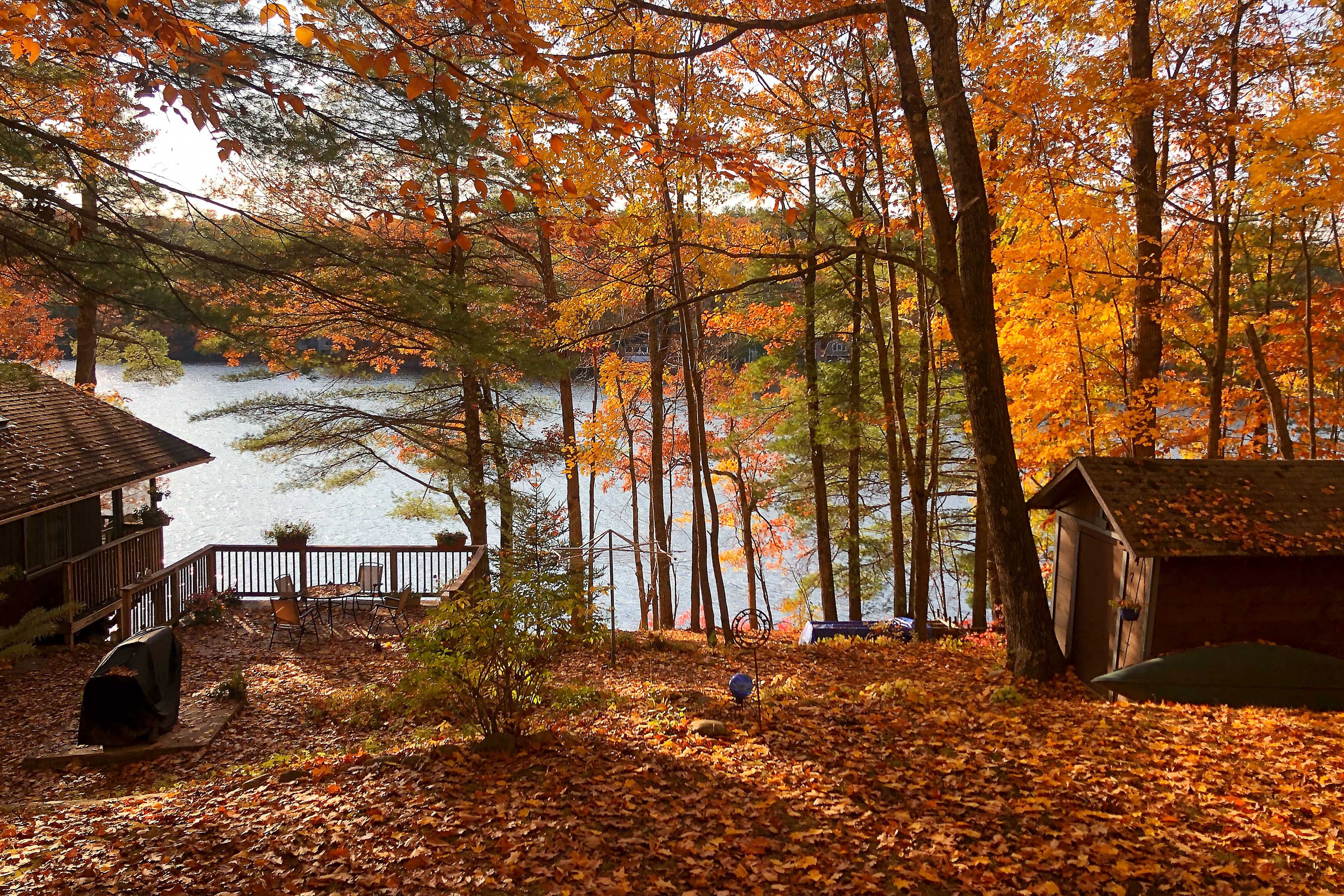 Property in Fall