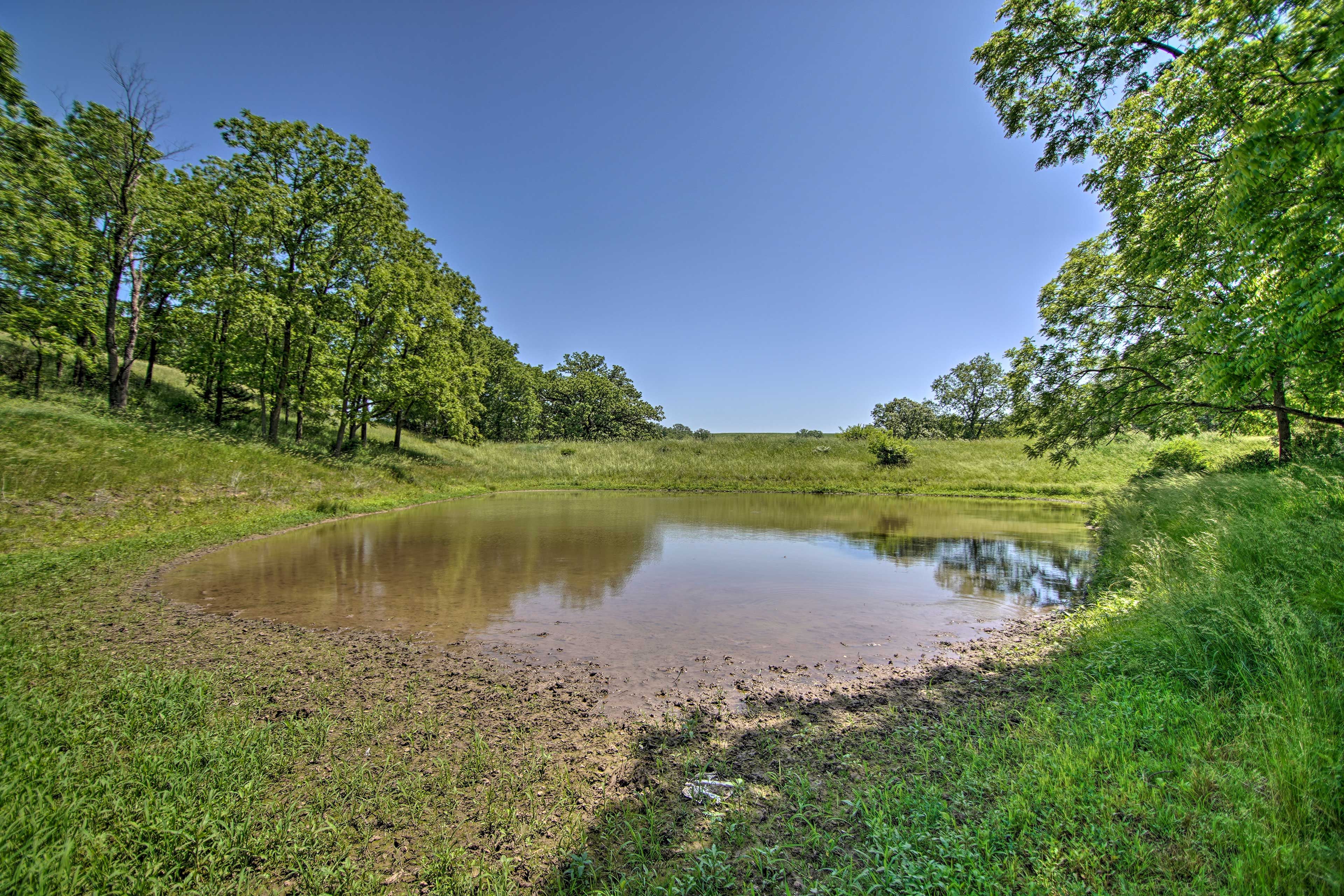 On-Site Pond