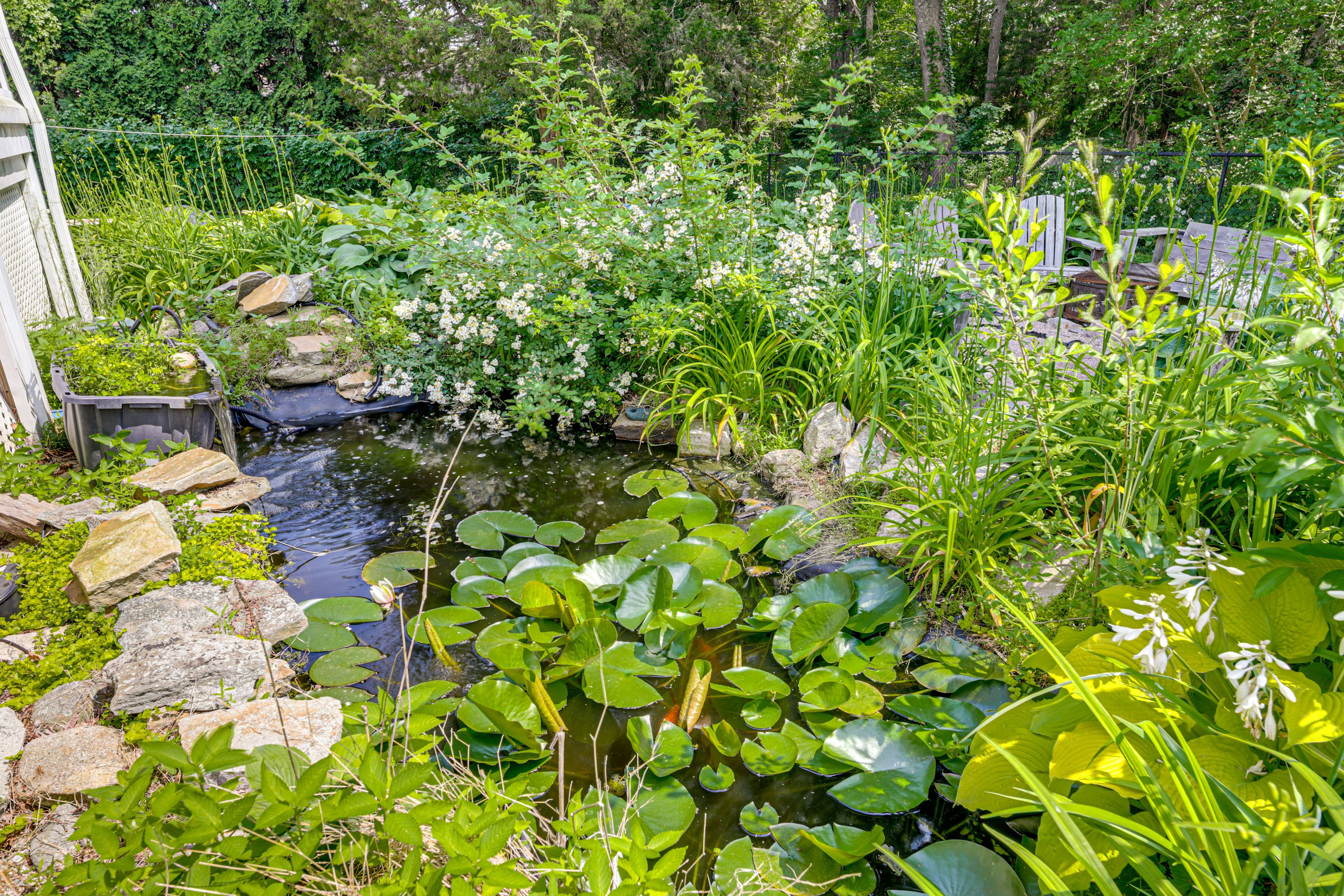 Image 32