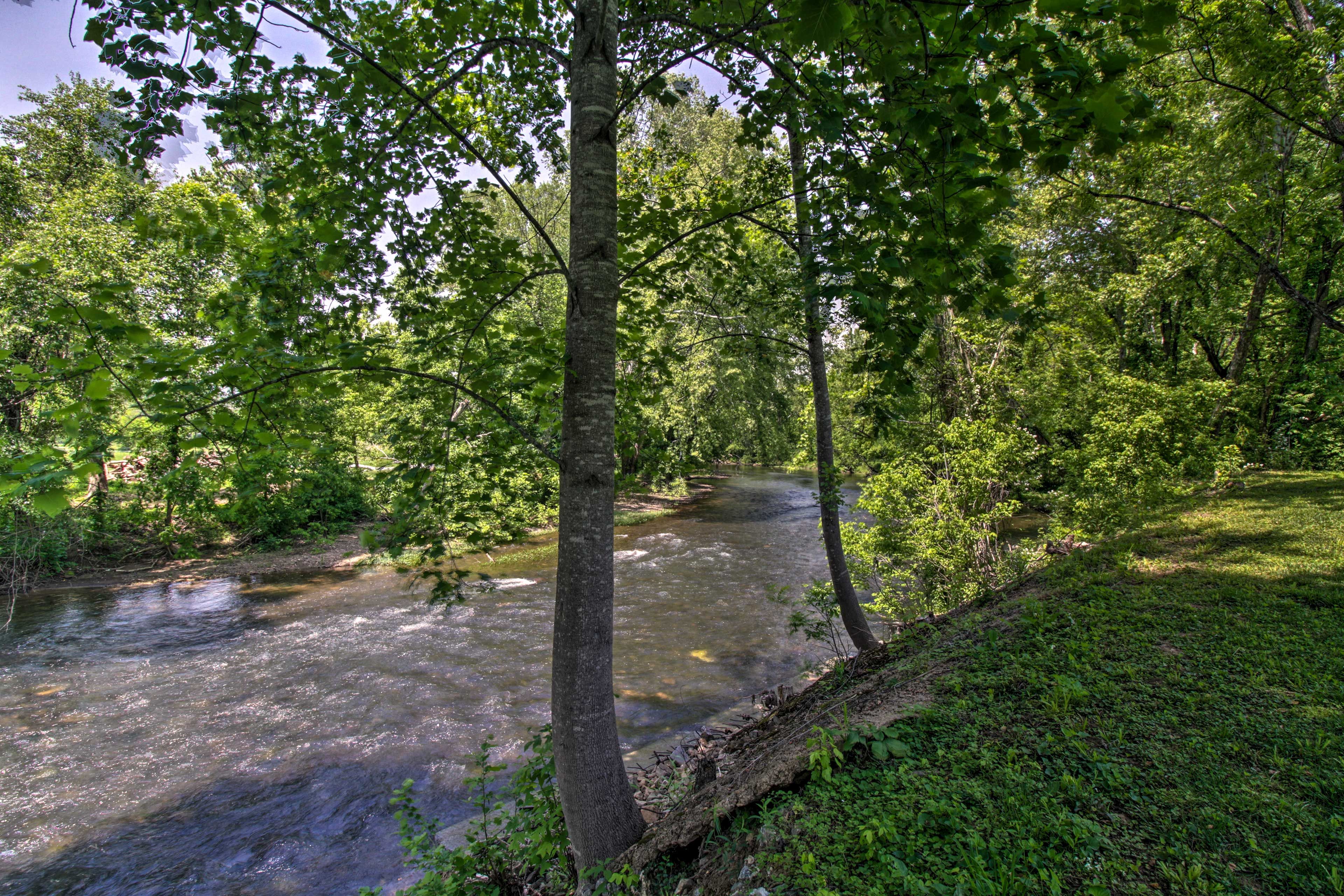 Image 37