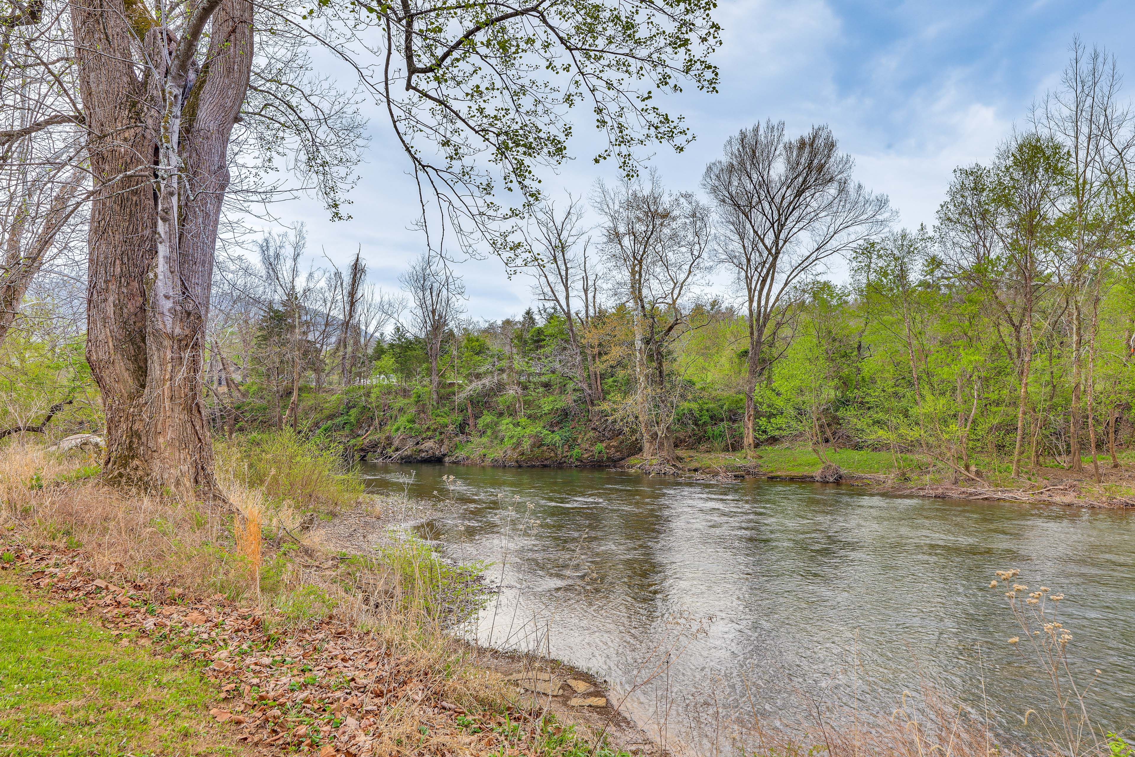 Craig Creek | On-Site Kayaking